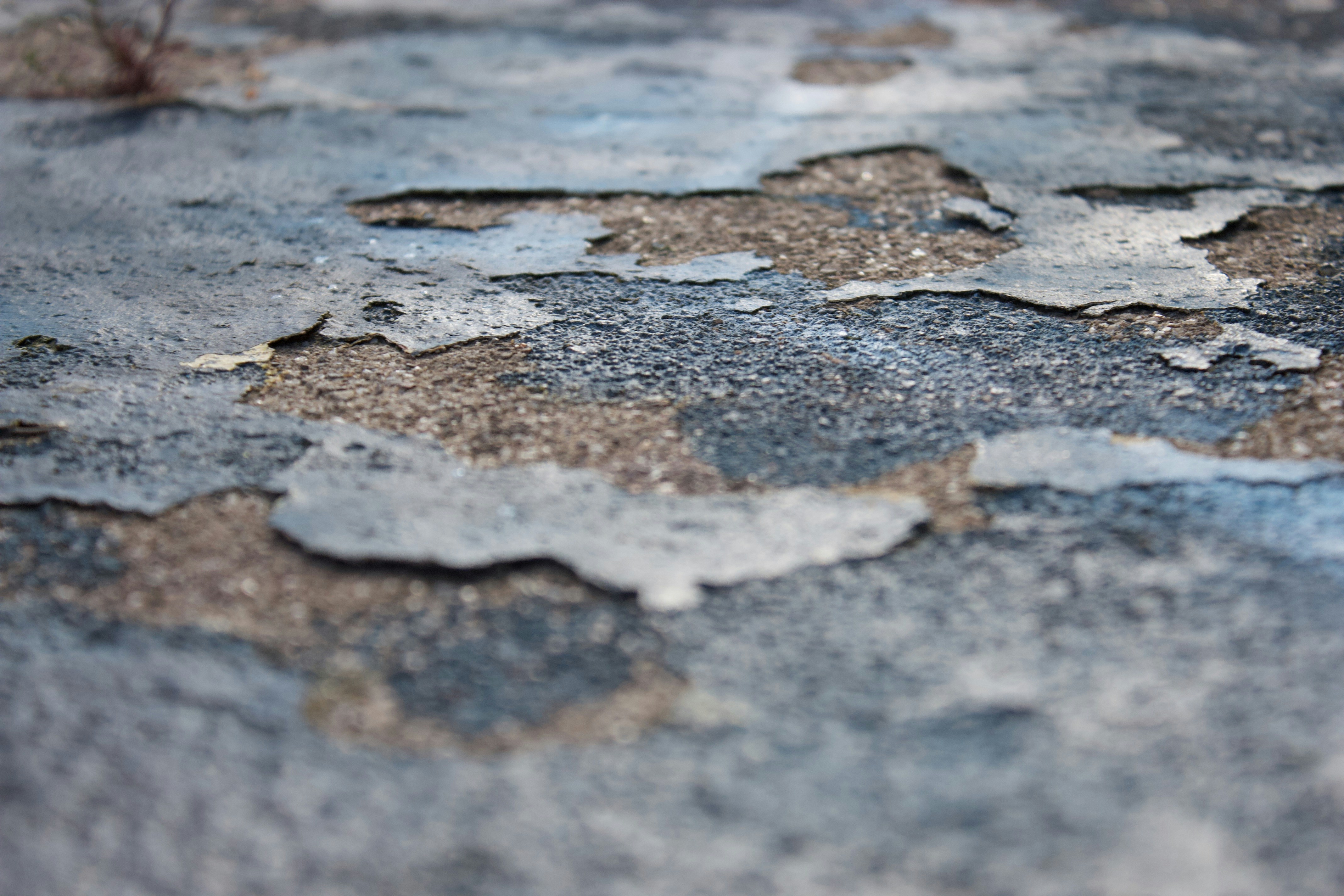 Photo by camilleroux_com