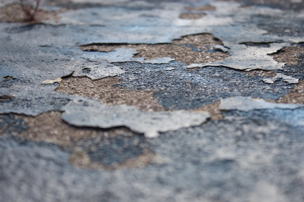 brown and gray concrete floor