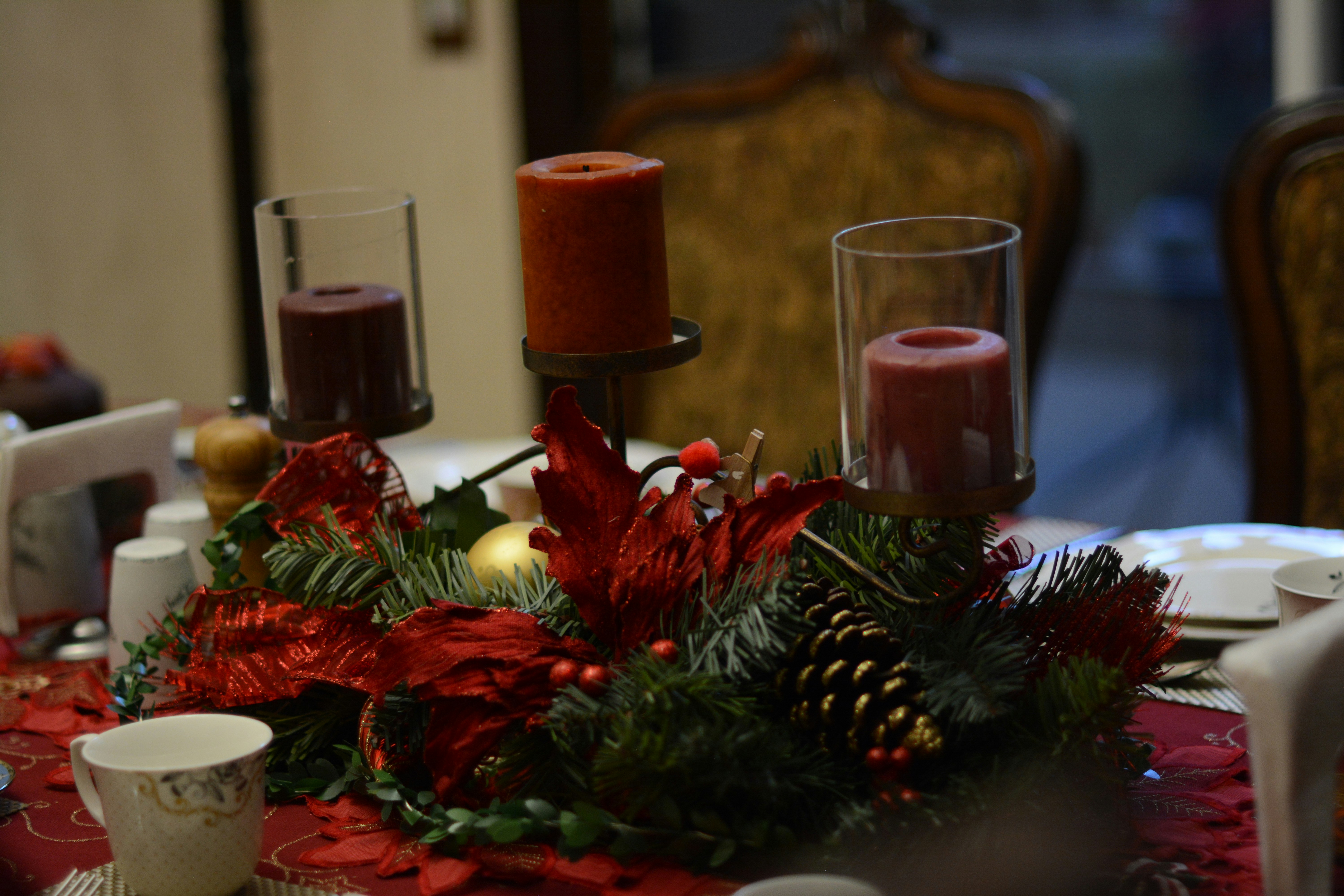 red candles on green pine tree