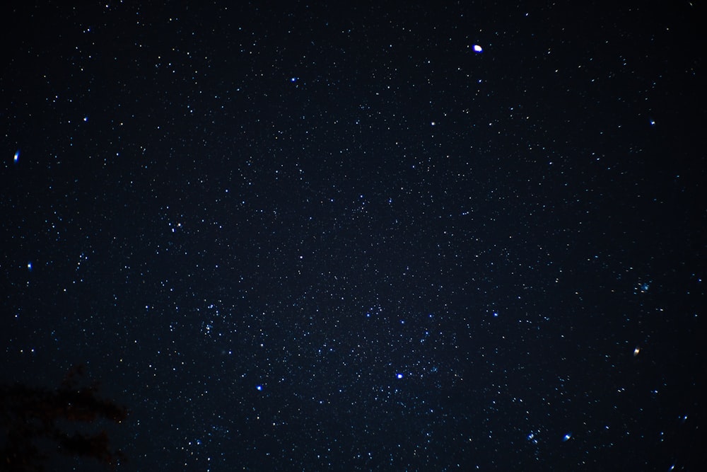 stelle nel cielo durante la notte