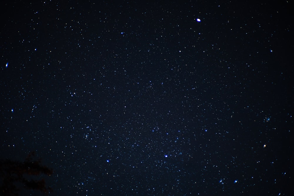 stars in the sky during night time