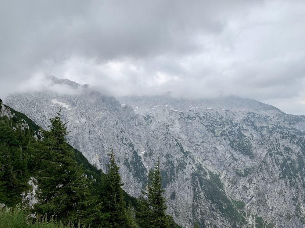 green trees near mountain under white clouds during daytime