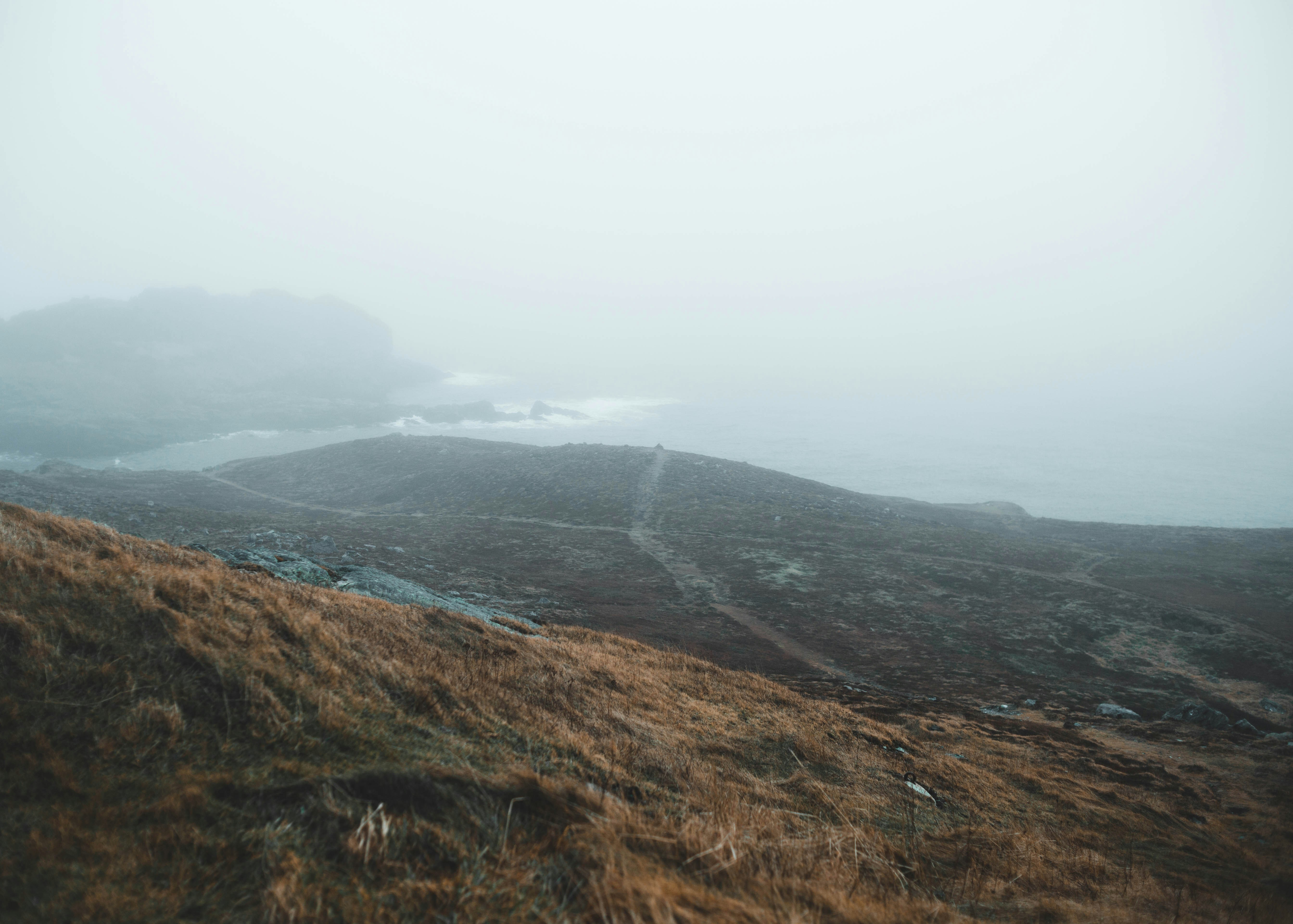 Photo by theshuttervision