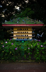 A green-roofed structure resembling a large birdhouse with multiple arched openings is surrounded by lush greenery. Numerous pigeons are perched on the structure and flying around it. Bright purple and yellow flowers contrast with the deep green of the foliage.