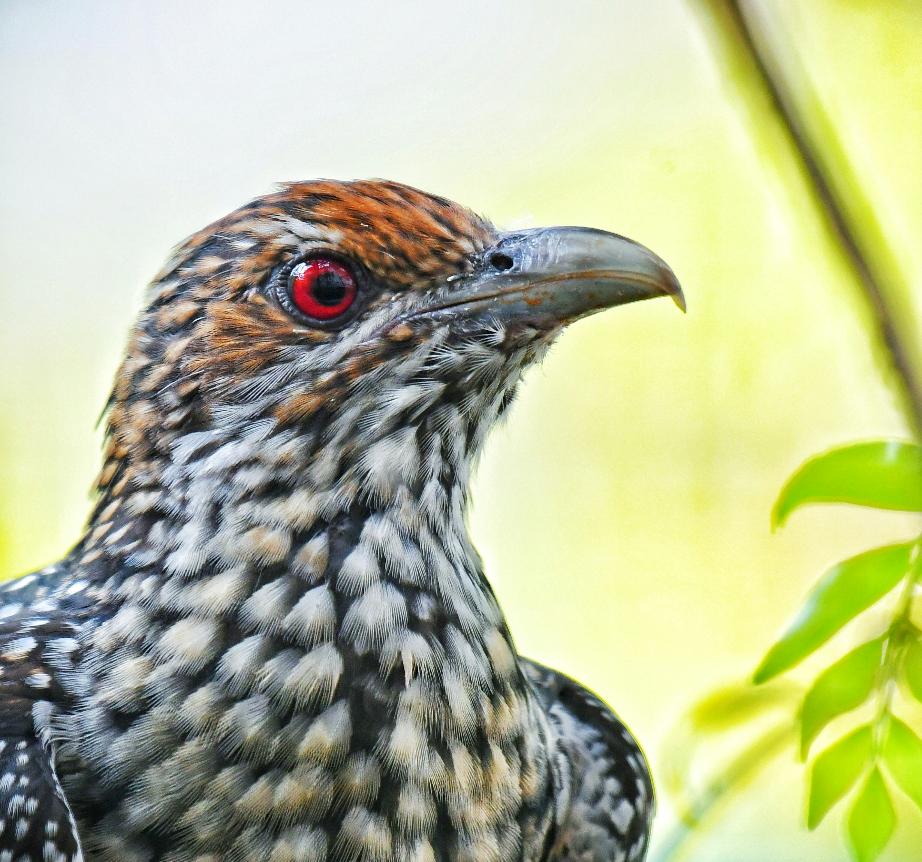 Photo by sbphotology