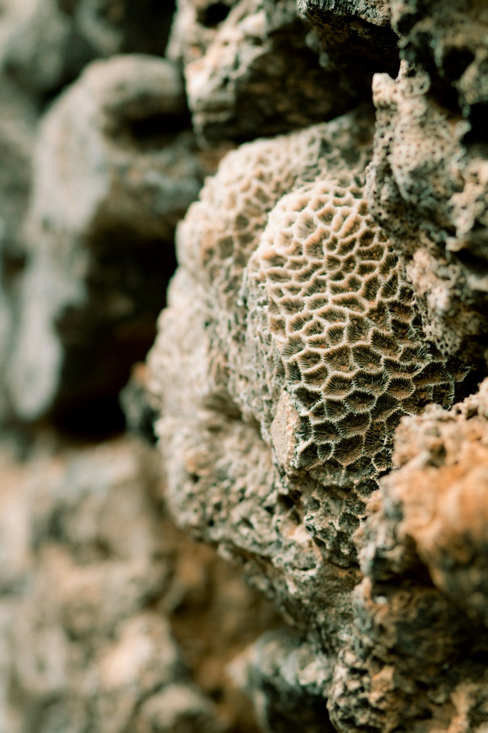 white and brown rock formation