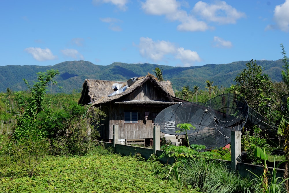 brown wooden house on green grass field during daytime