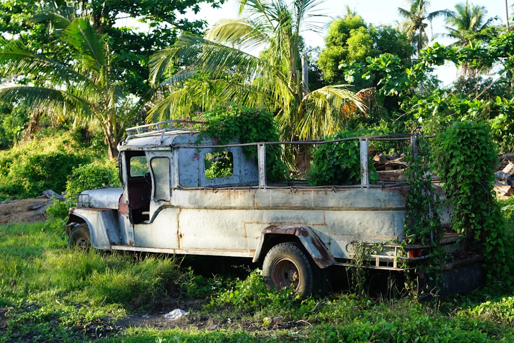 white and gray single cab pickup truck parked near green palm tree during daytime