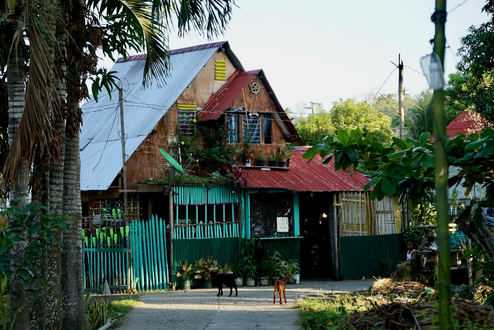 grünes und braunes Holzhaus in der Nähe von Palmen tagsüber