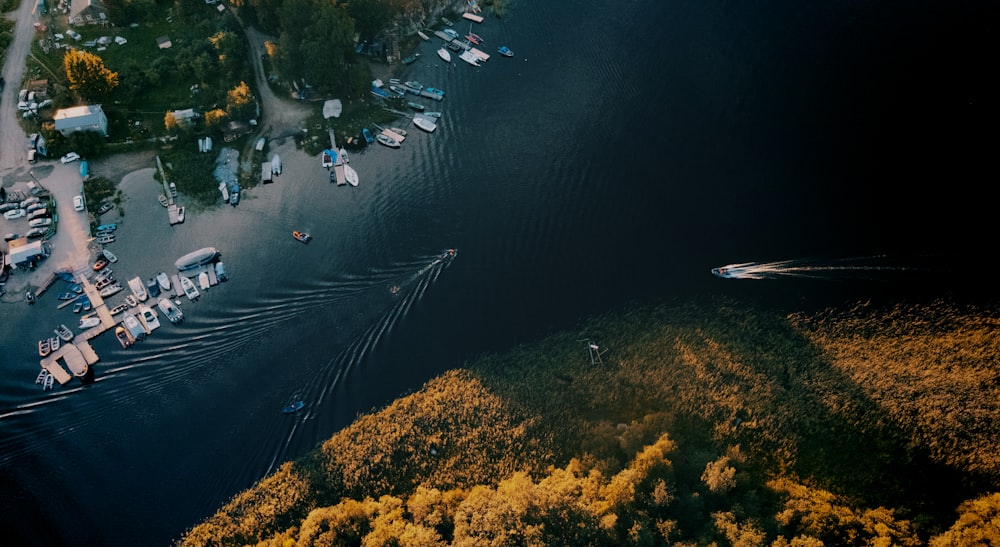 aerial view of body of water between trees during daytime