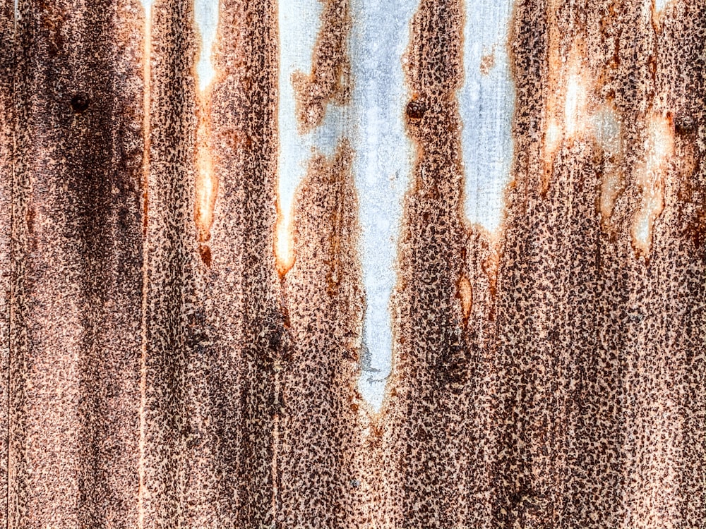 water droplets on glass window