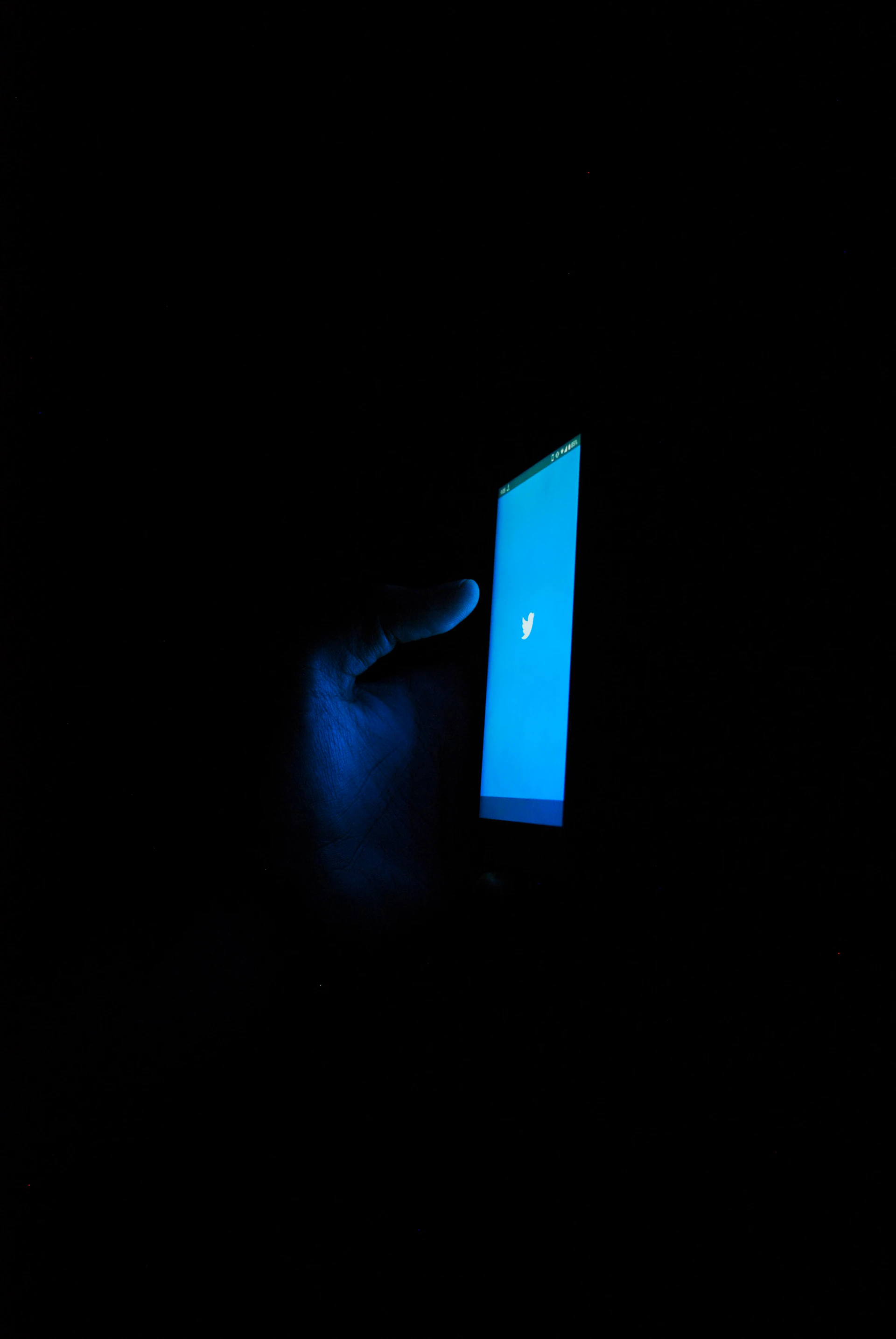 person holding blue and white box