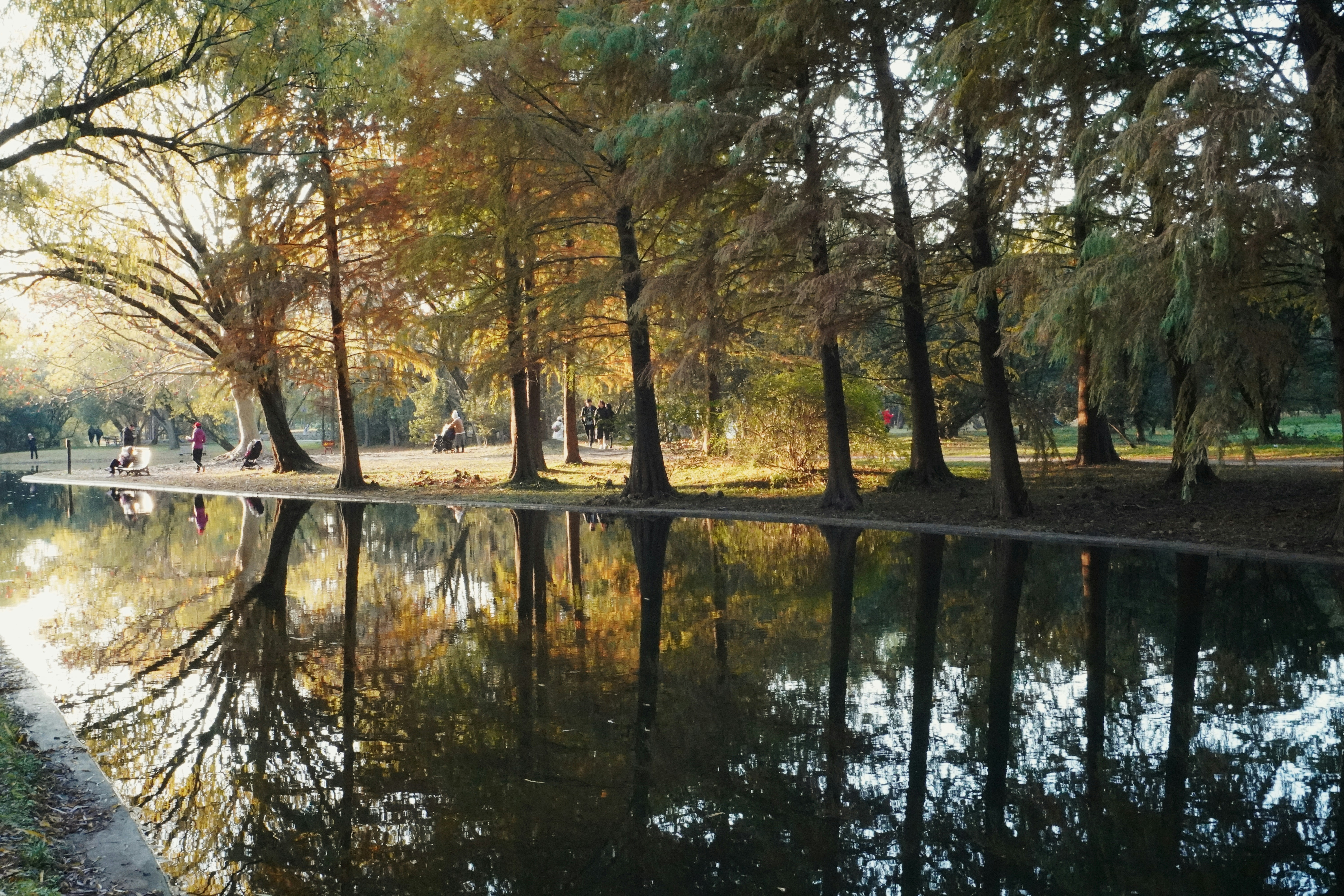 Photo by sakamotomari