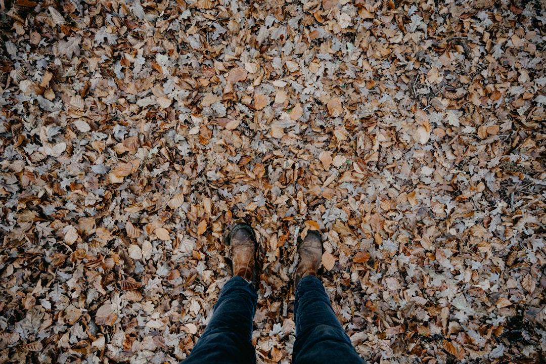 person in blue denim jeans and brown shoes standing on brown dried leaves