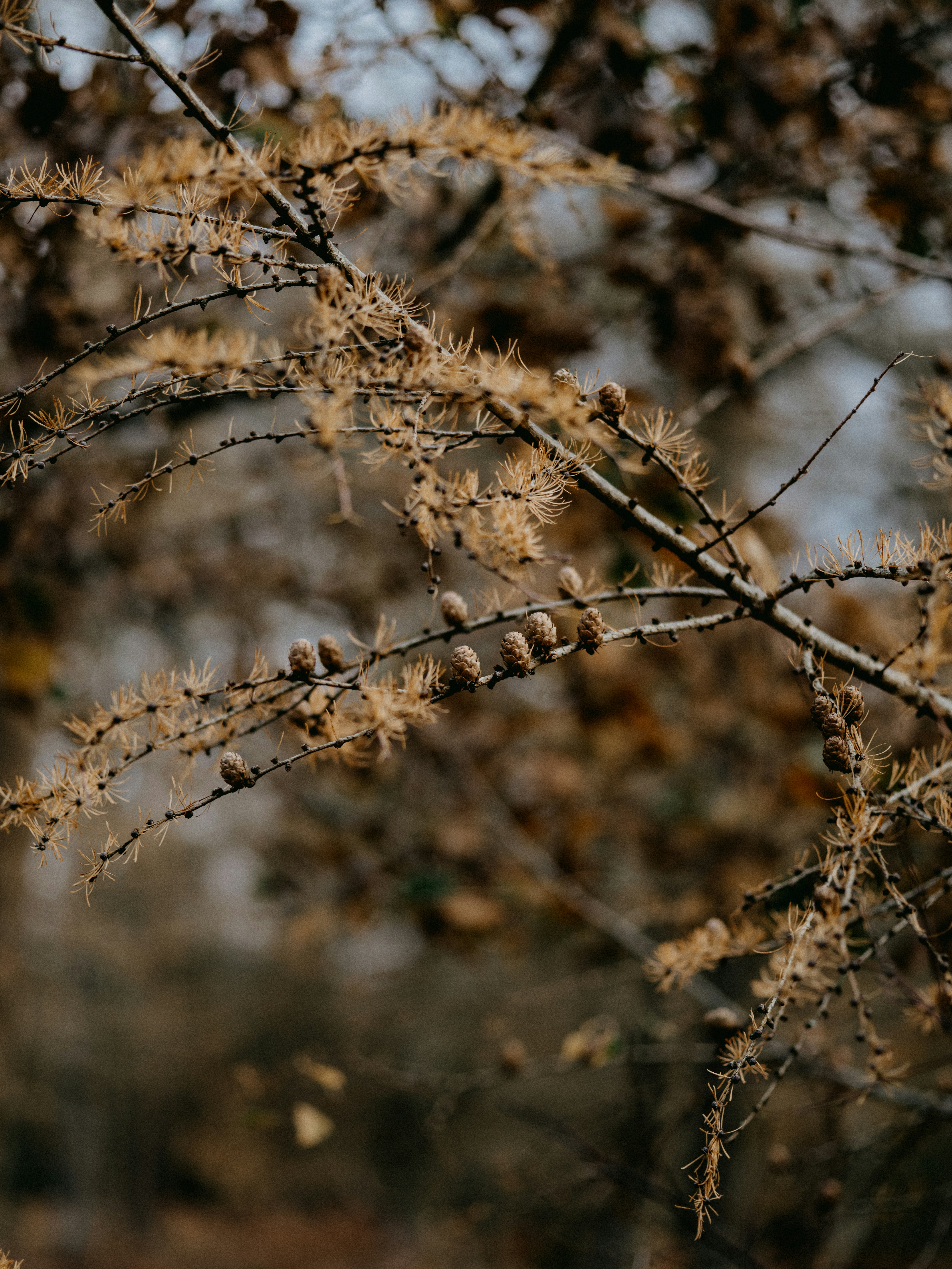 Photo by anniespratt