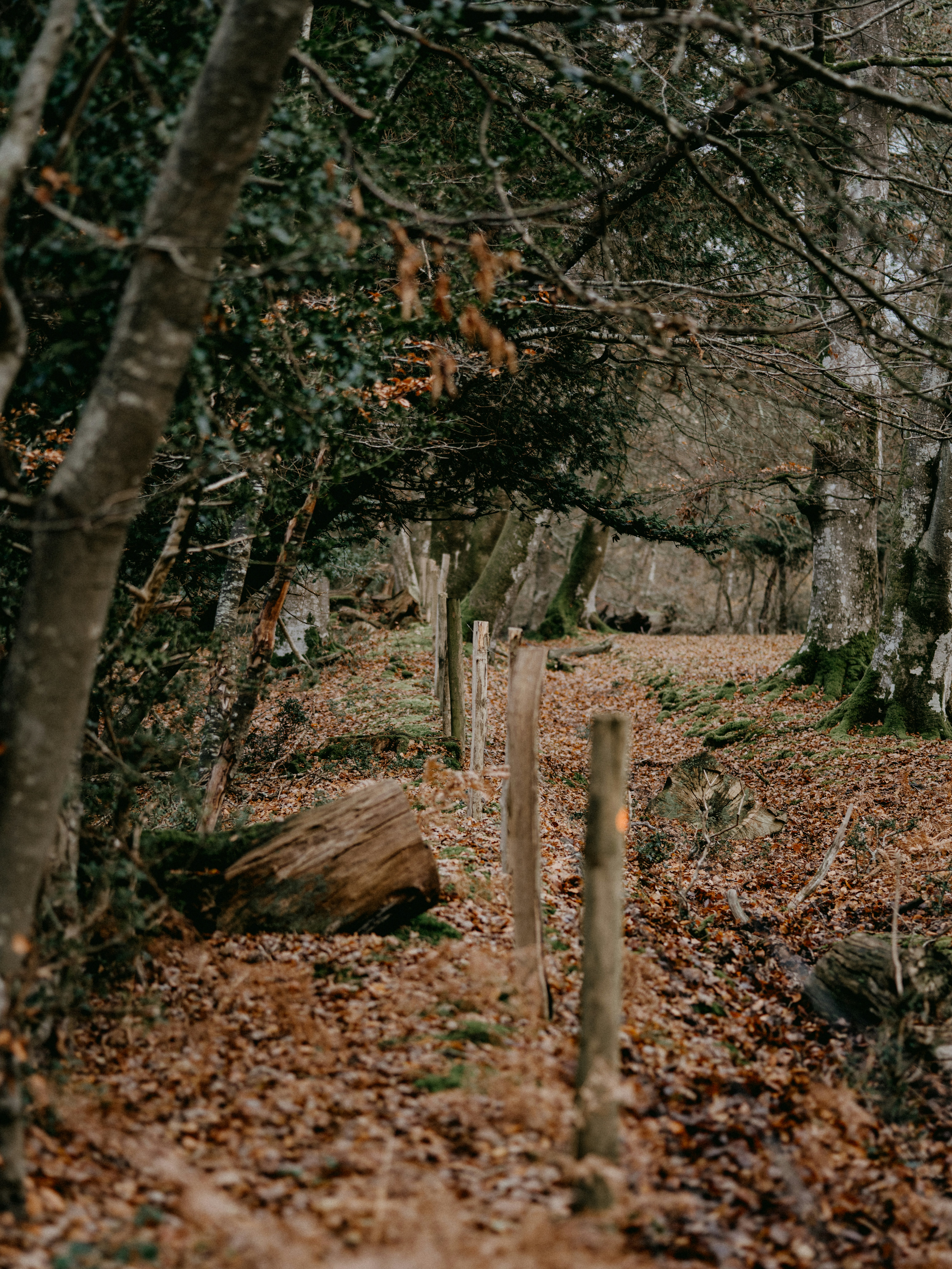 Photo by anniespratt