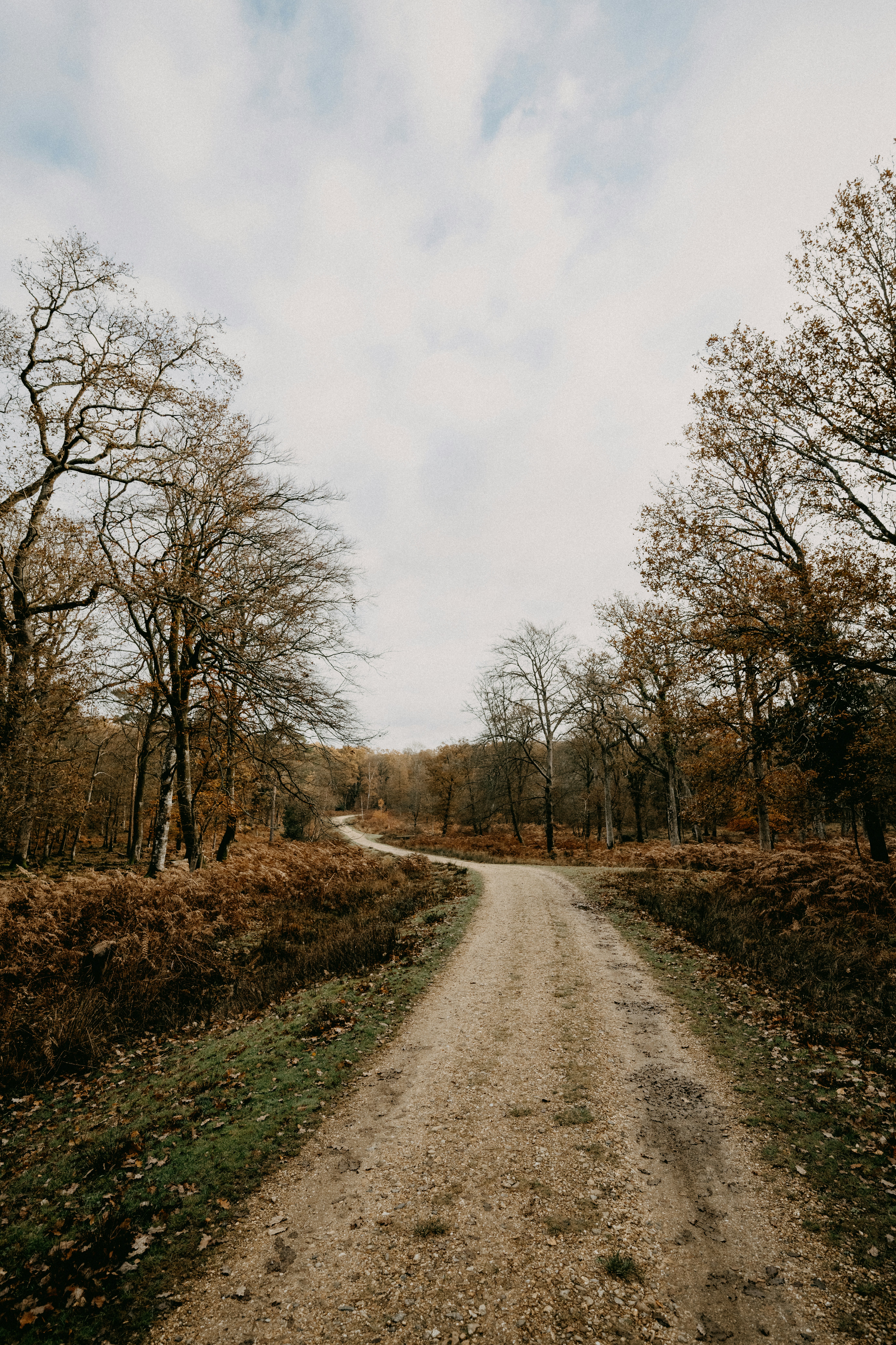 Photo by anniespratt