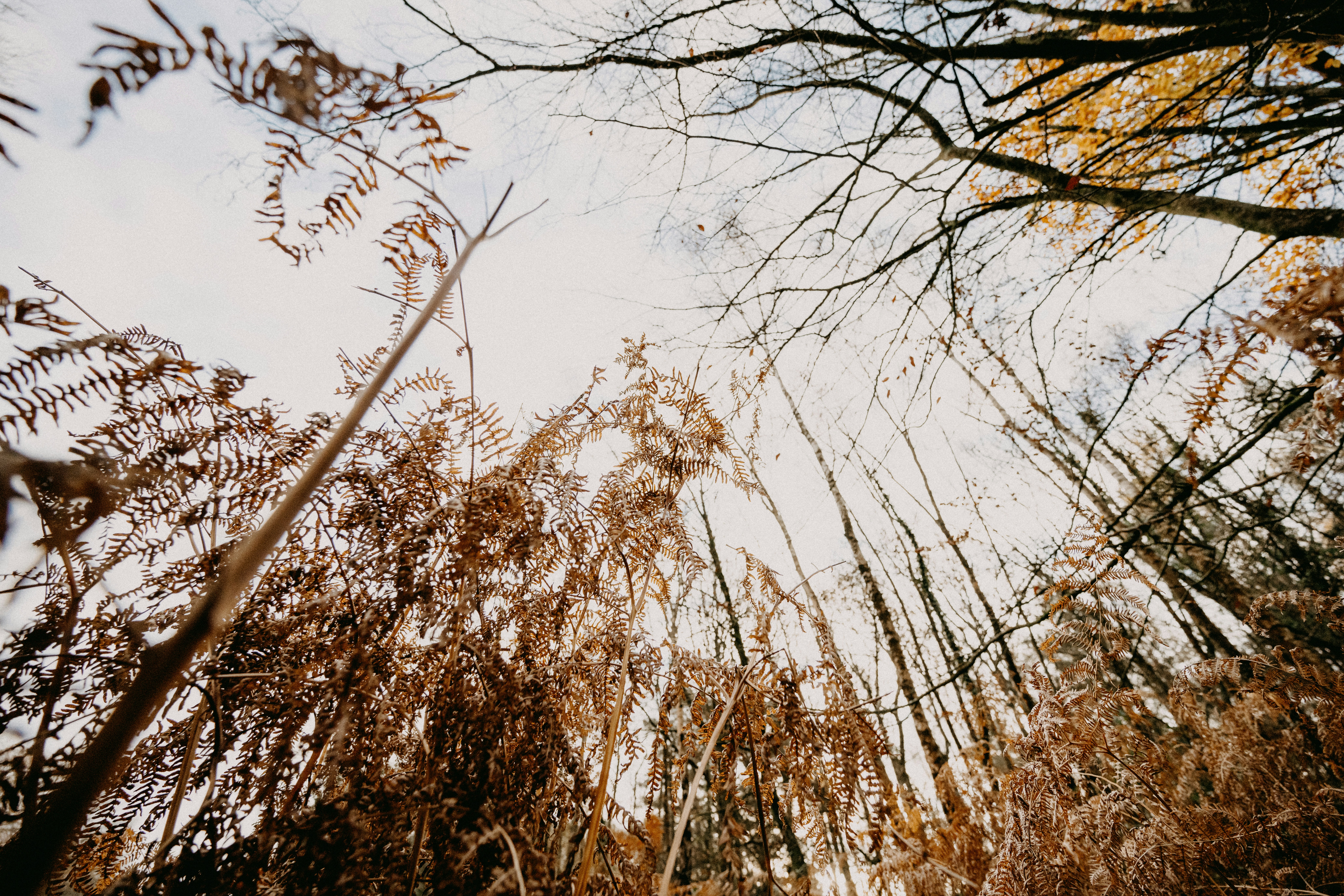 Photo by anniespratt