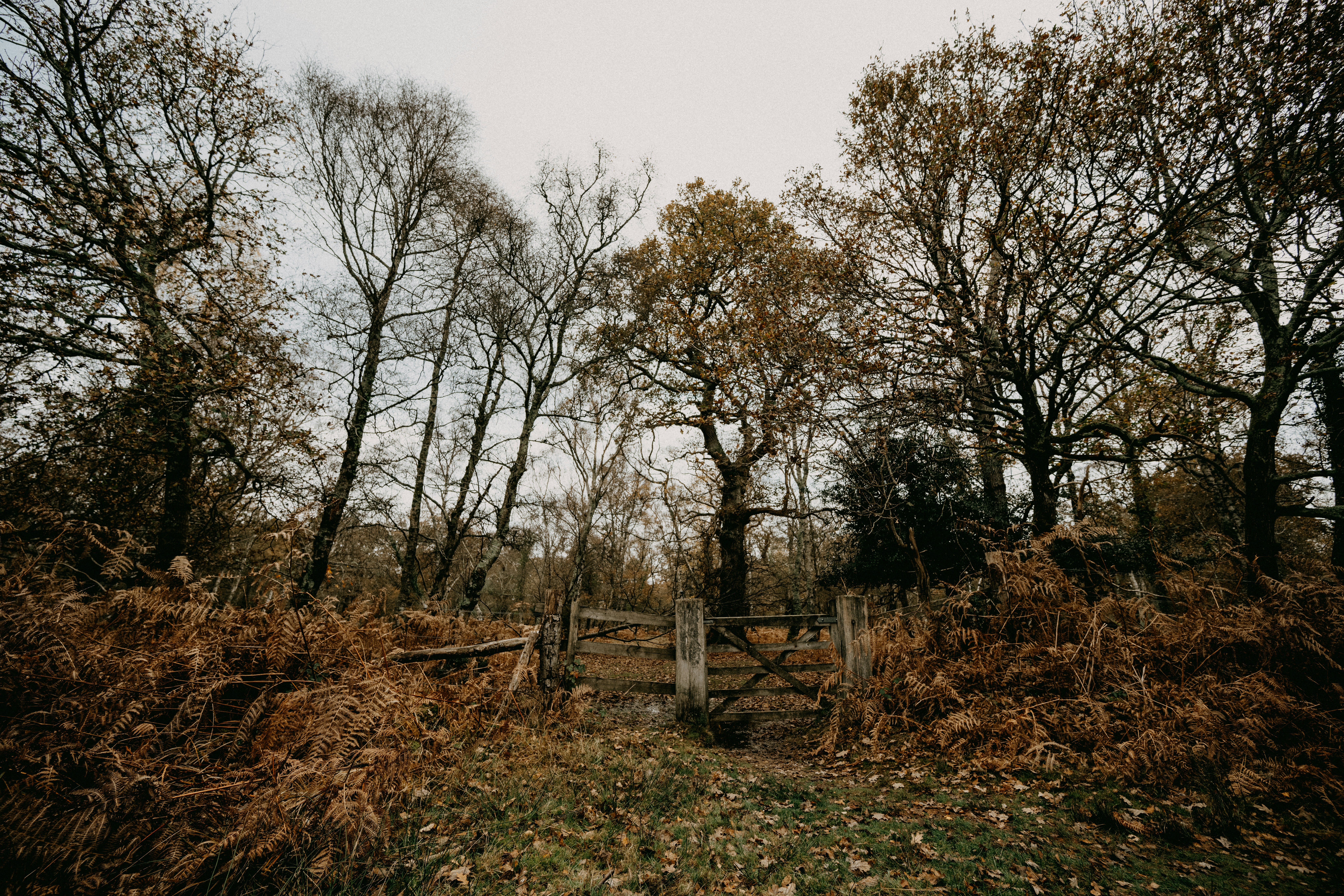 Photo by anniespratt