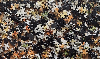 white and yellow star shaped petals