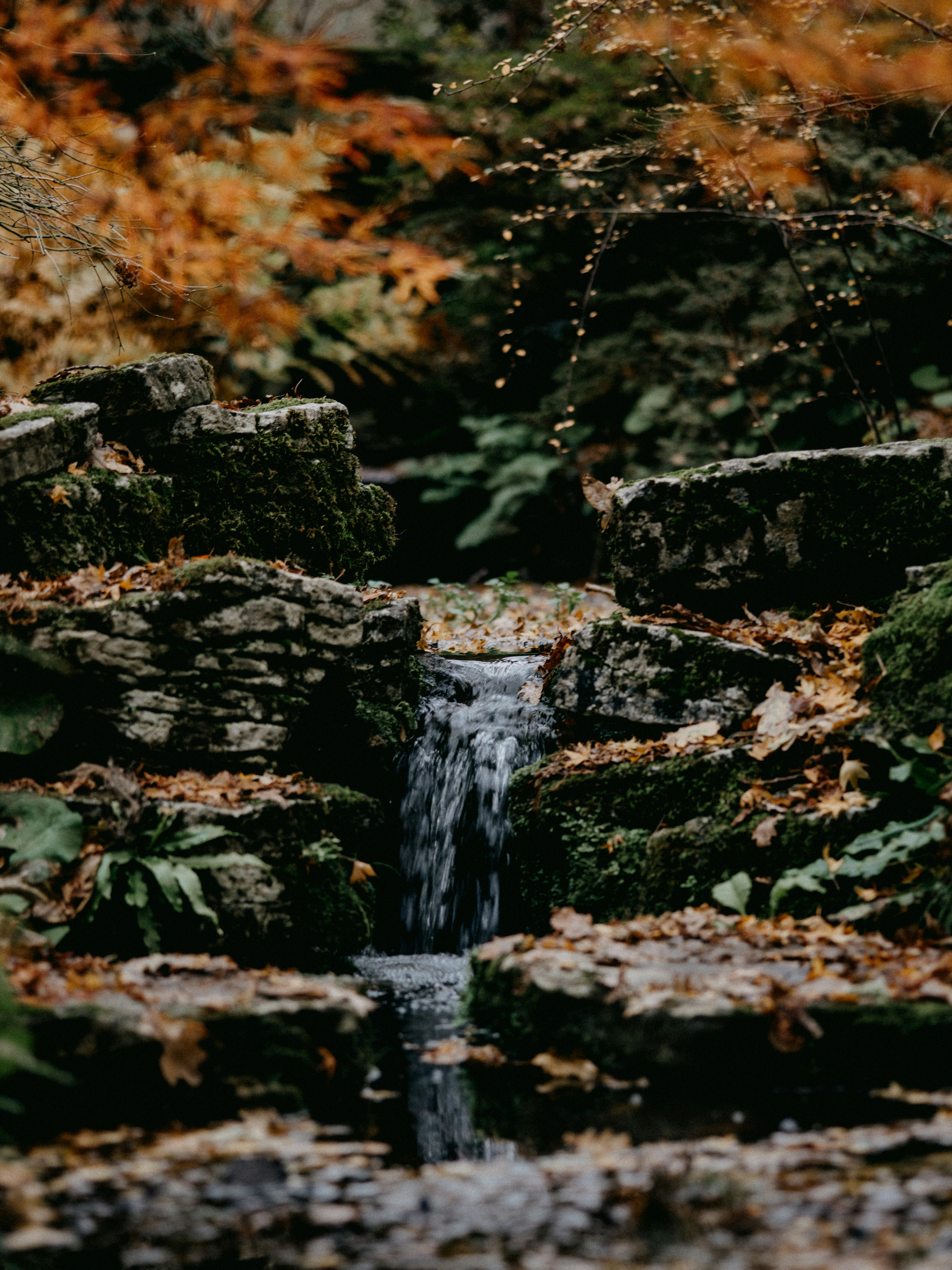 Photo by anniespratt