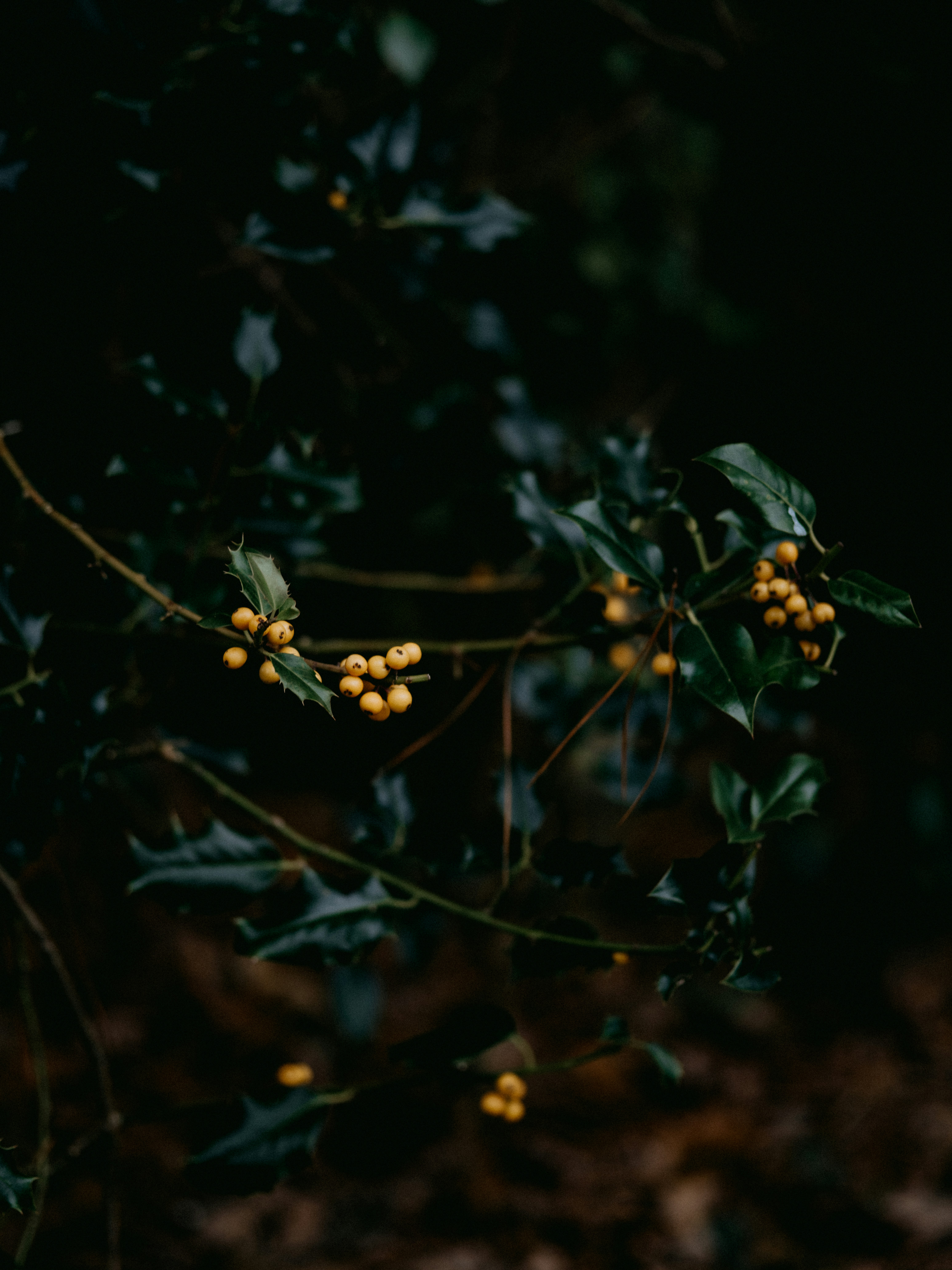 Photo by anniespratt