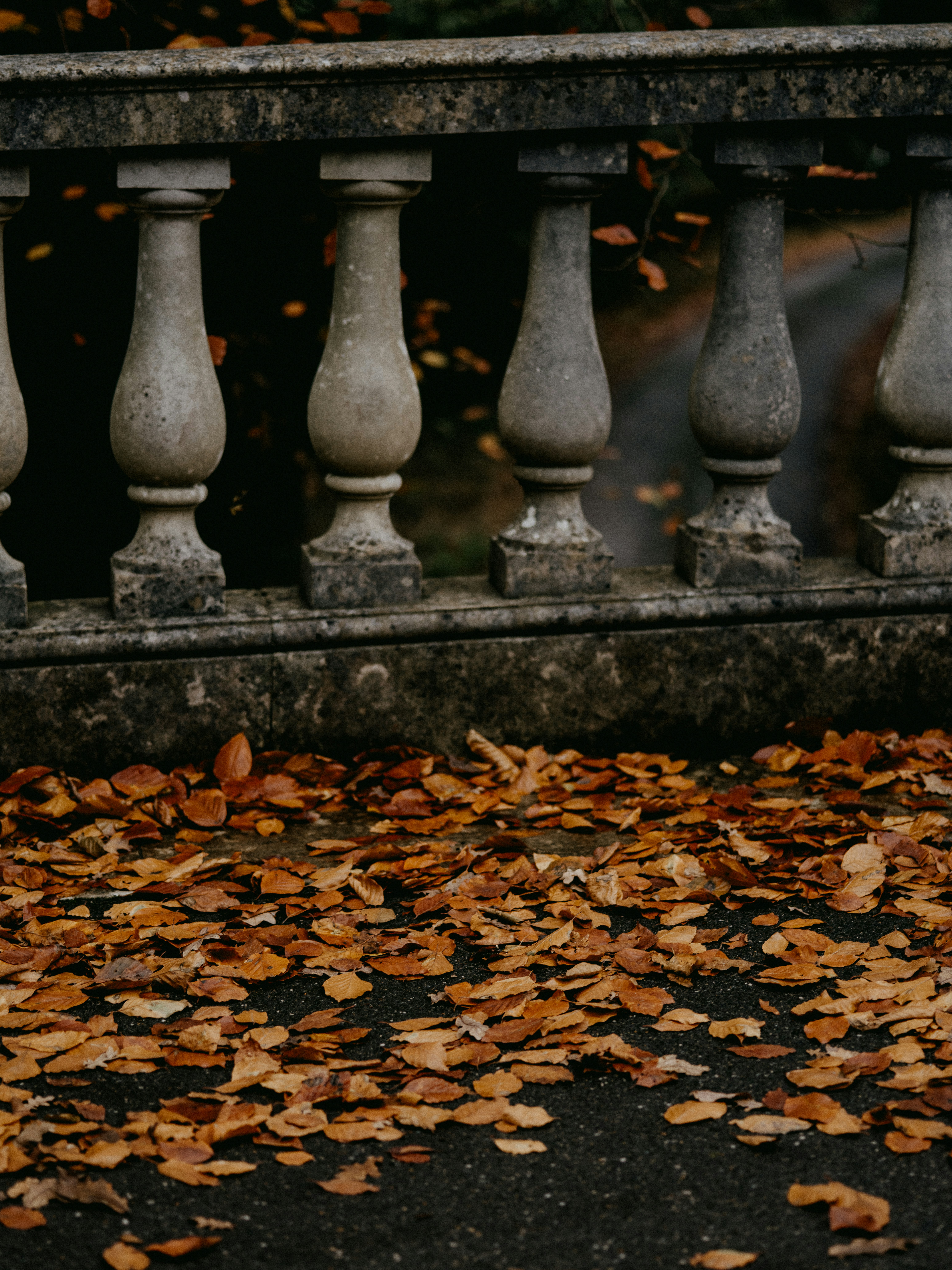 Photo by anniespratt