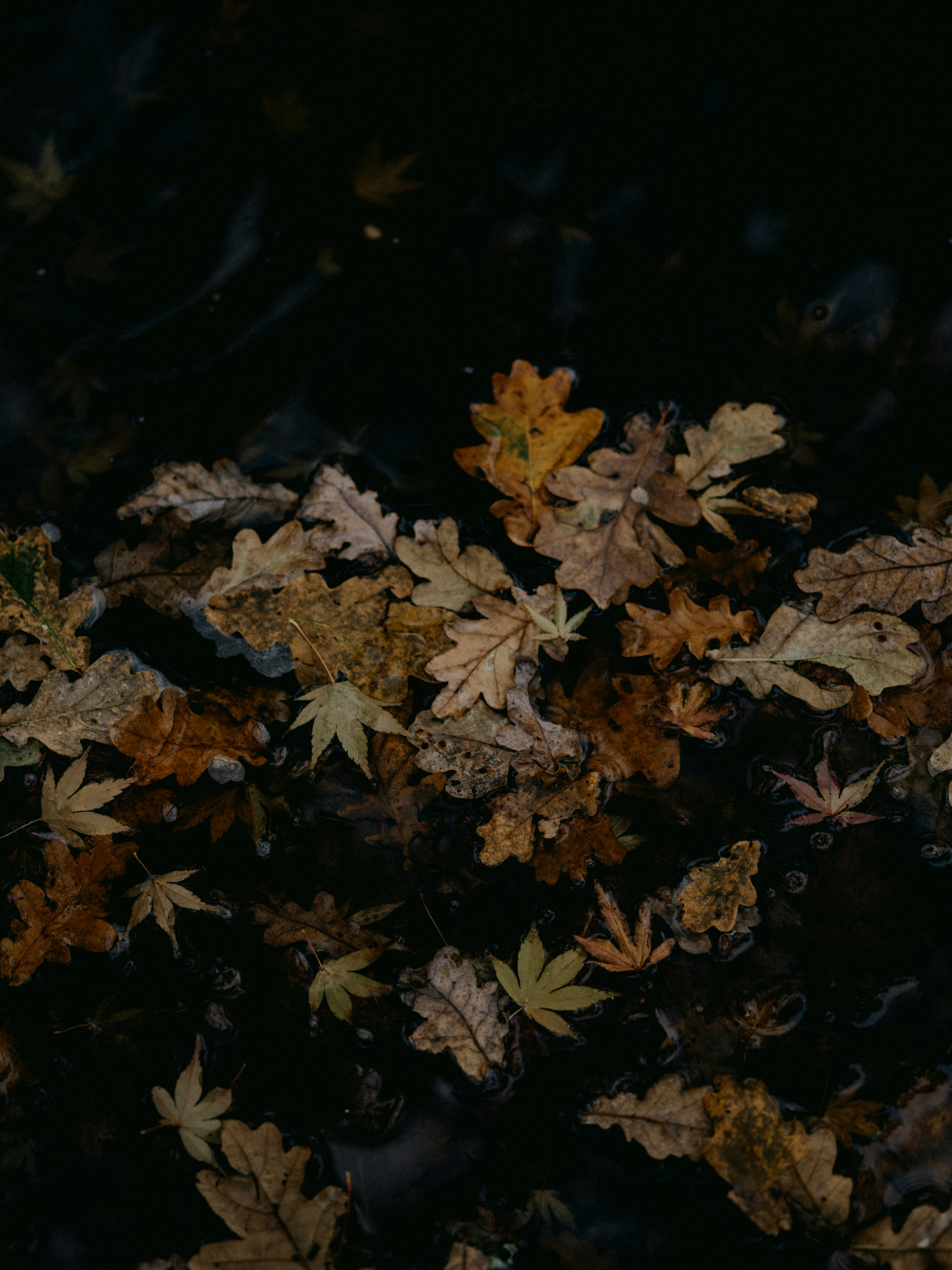 Photo by anniespratt