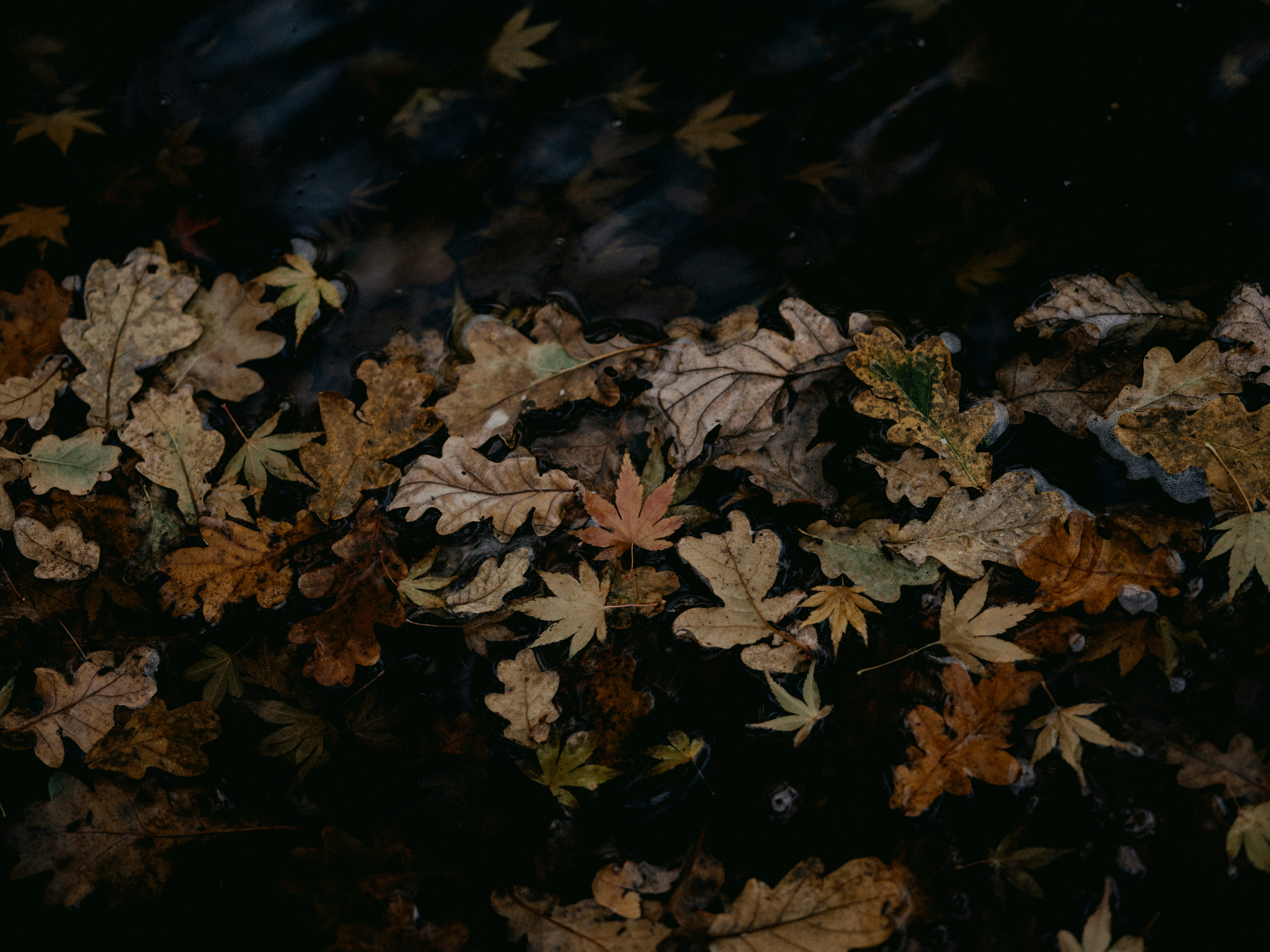 Photo by anniespratt