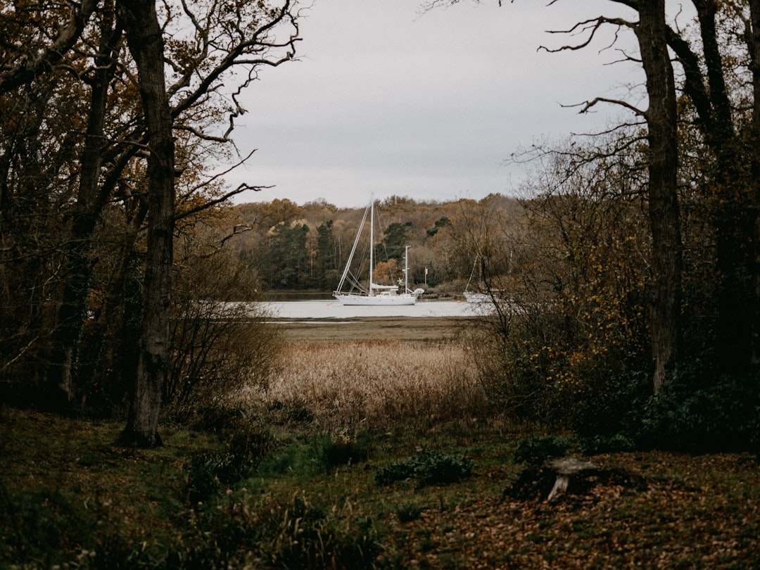 white boat on lake near trees during daytime