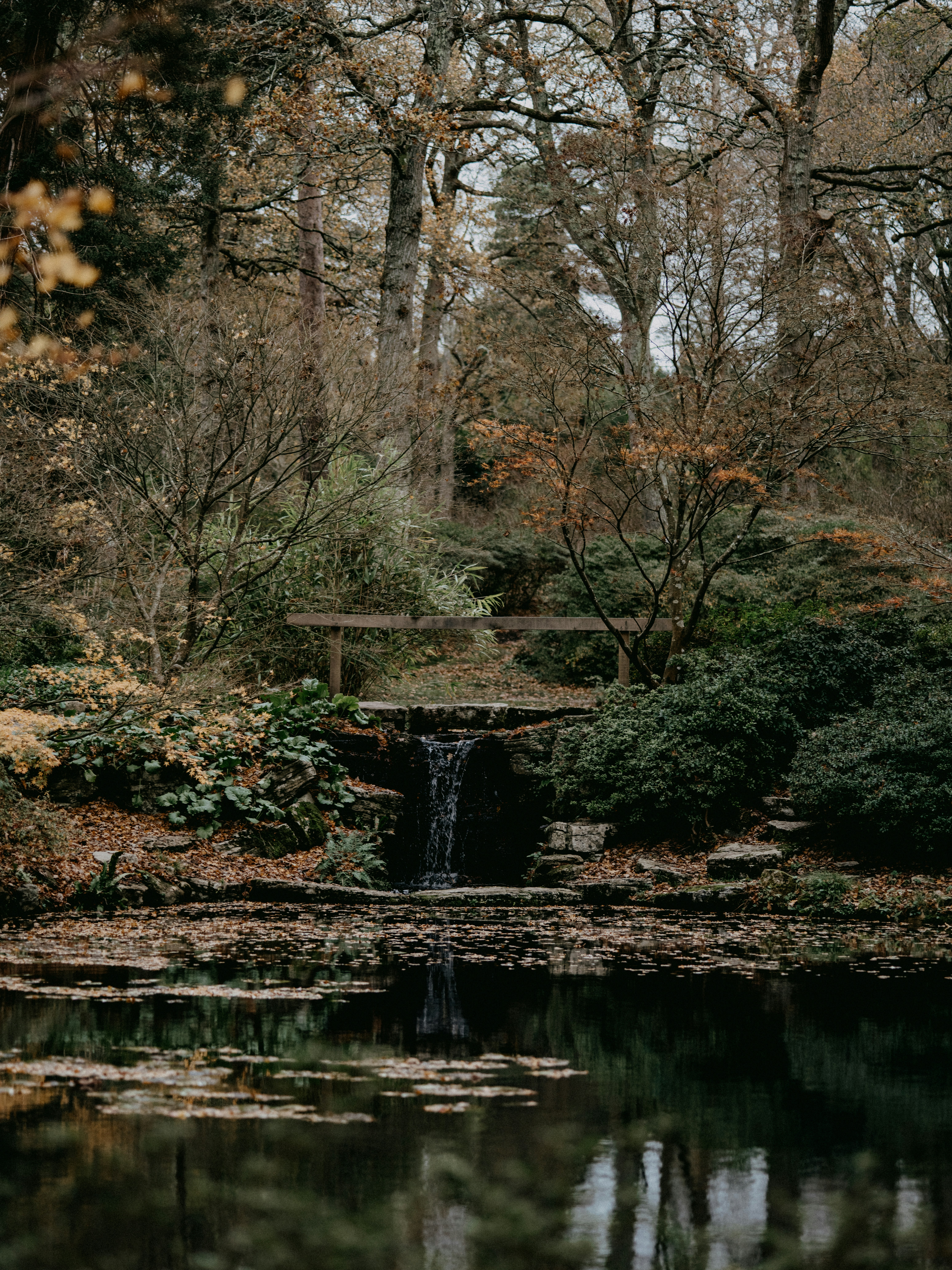 Photo by anniespratt