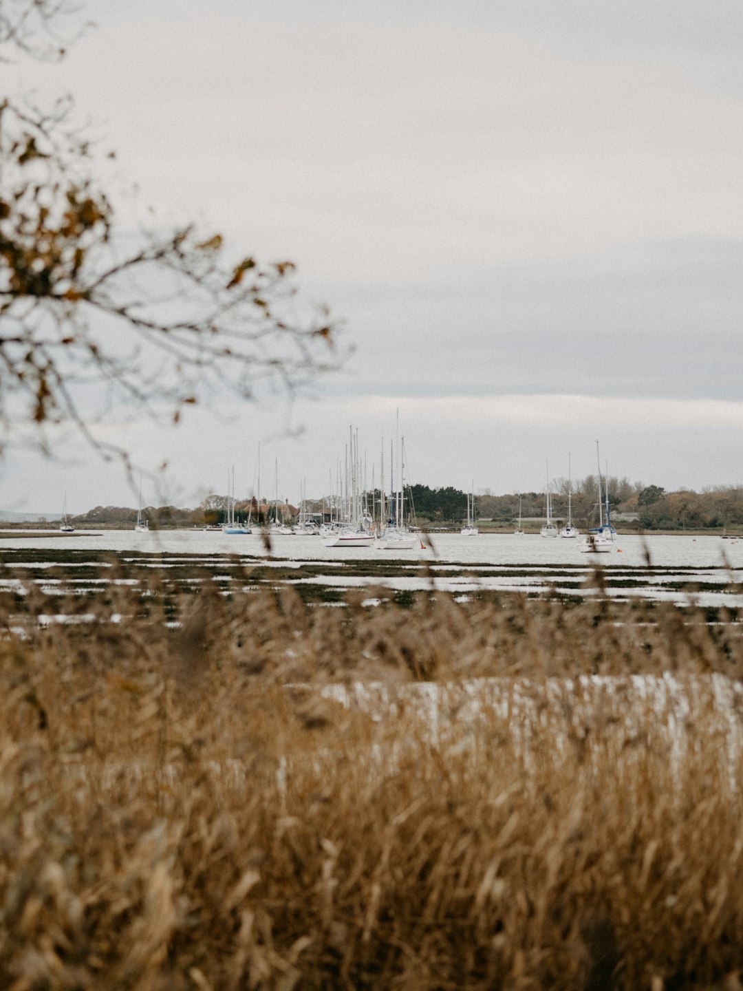 brown grass field near body of water during daytime