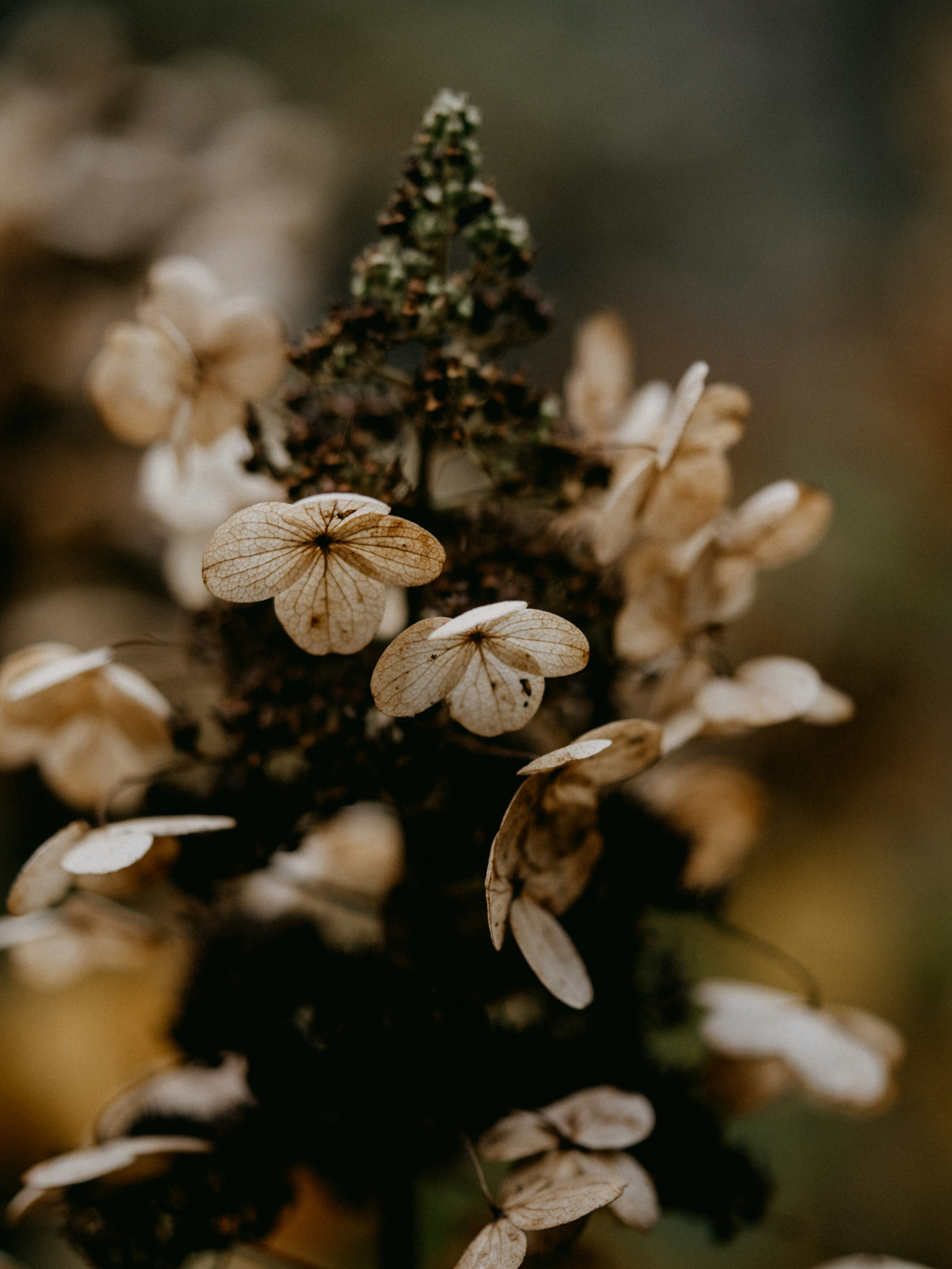 Photo by anniespratt