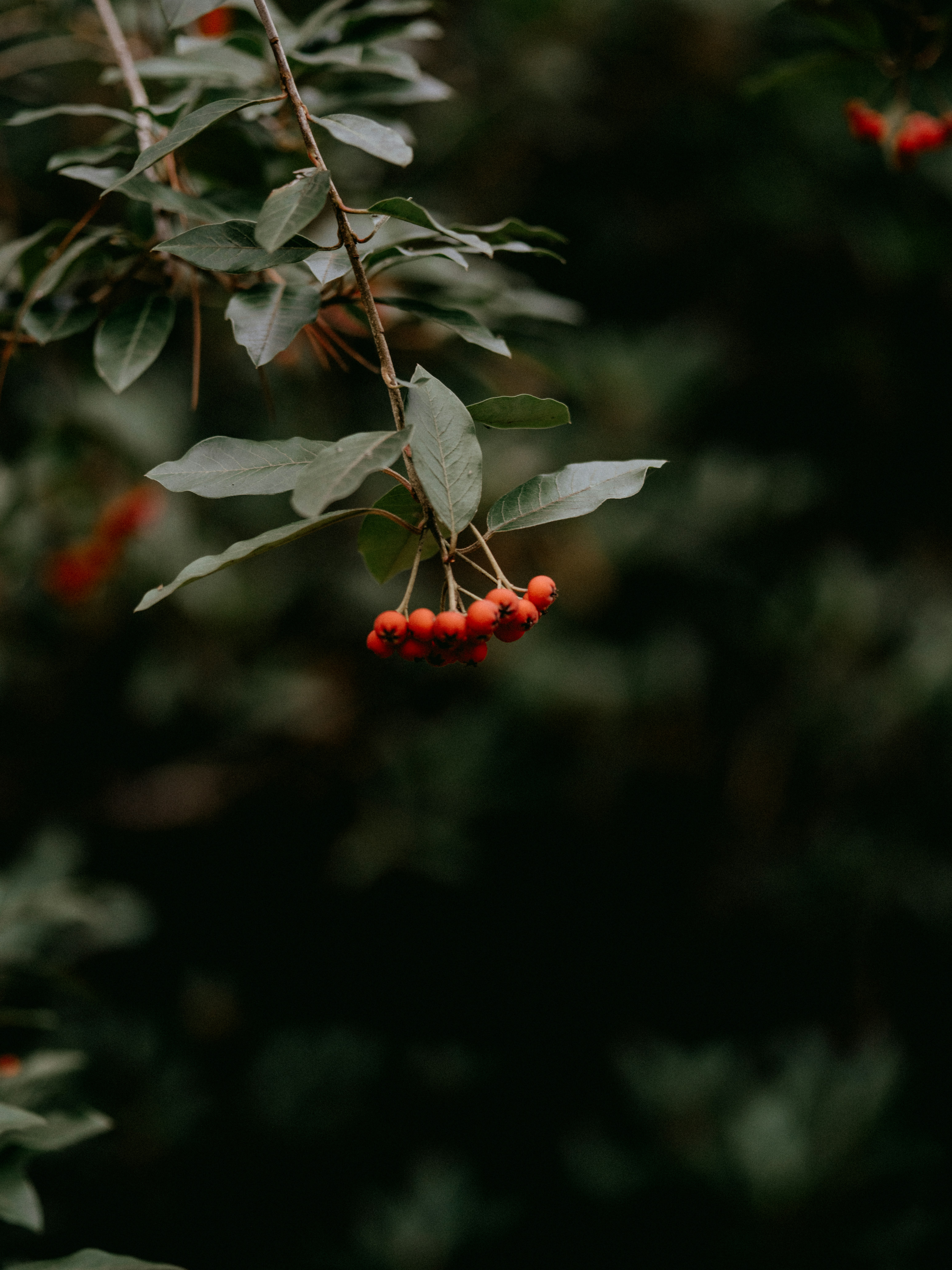 Photo by anniespratt