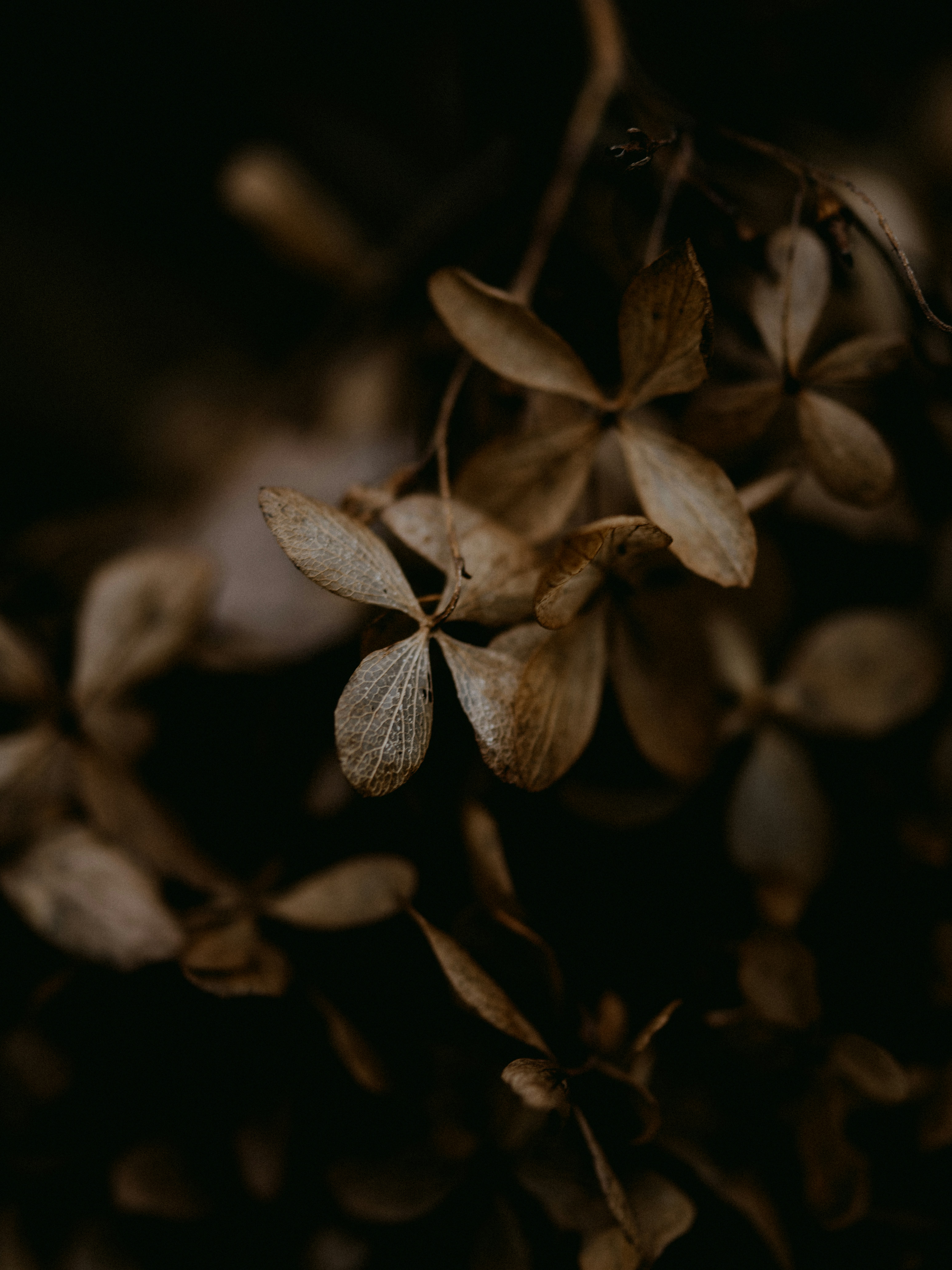 Photo by anniespratt