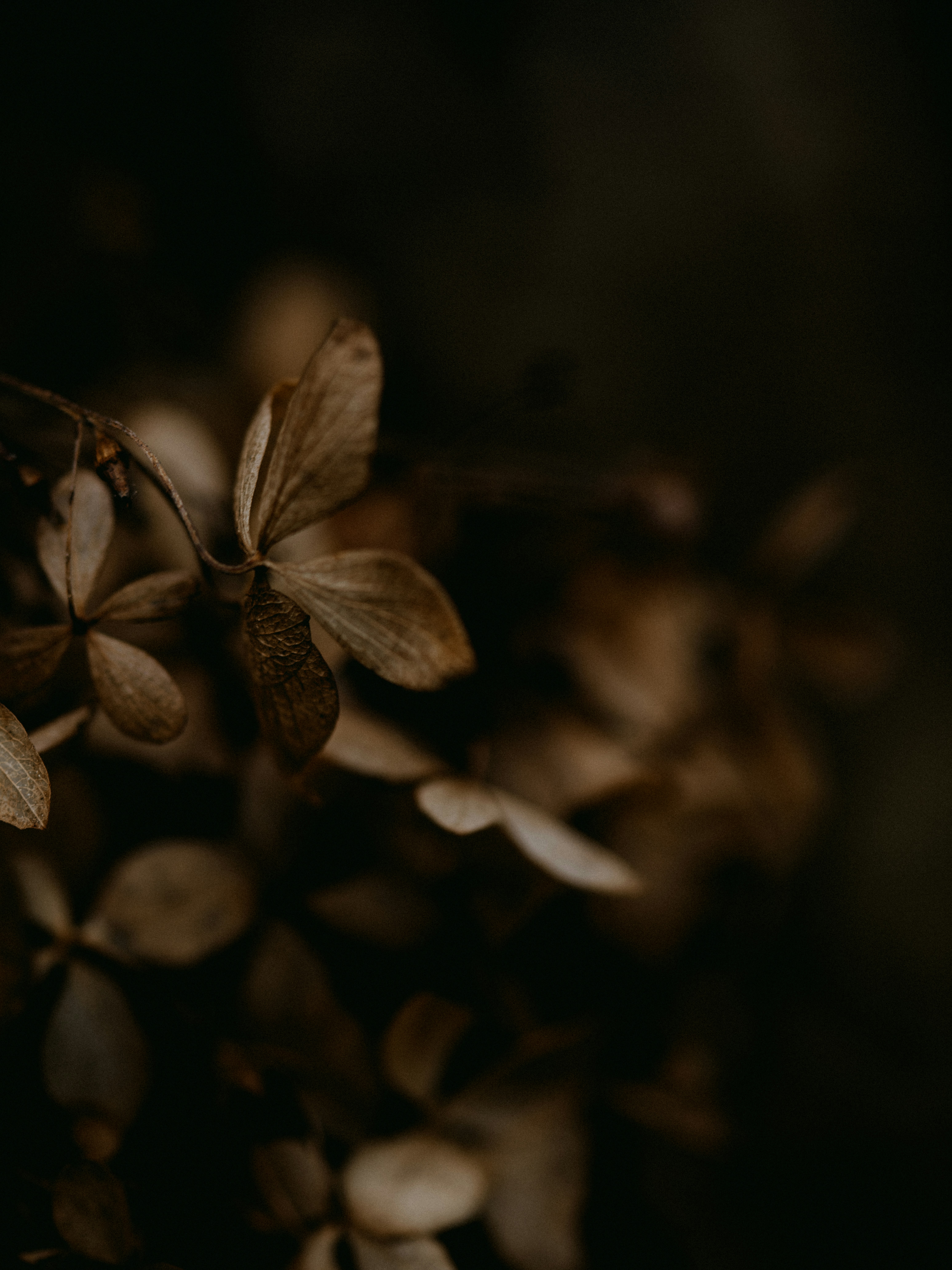 Photo by anniespratt