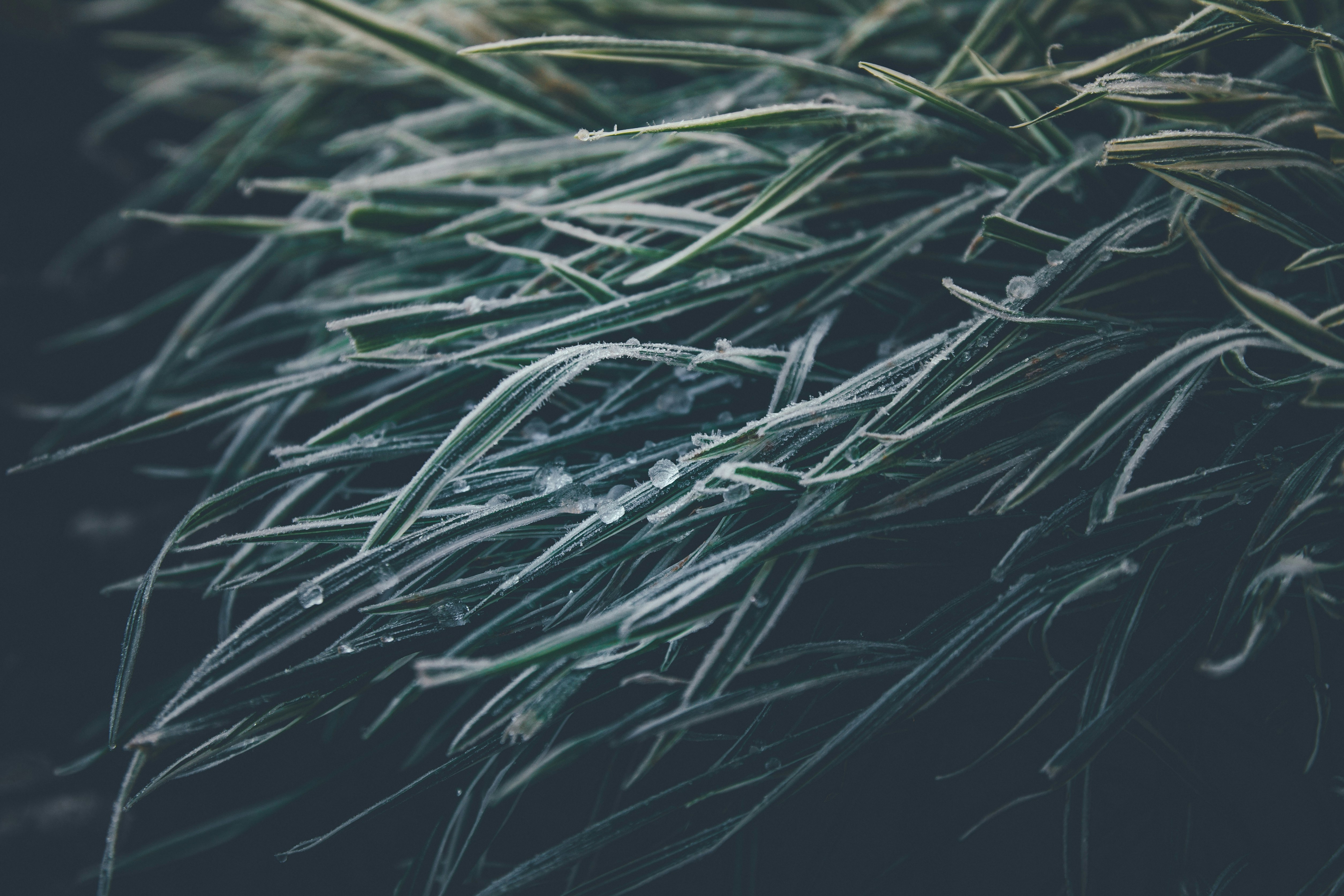 Photo by onmywayhome