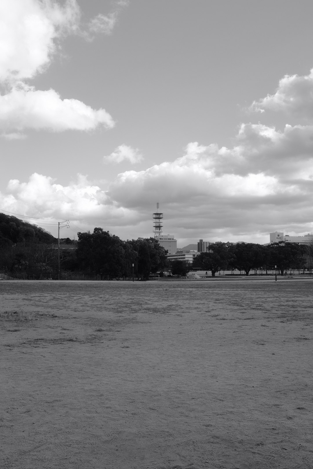 grayscale photo of body of water near trees