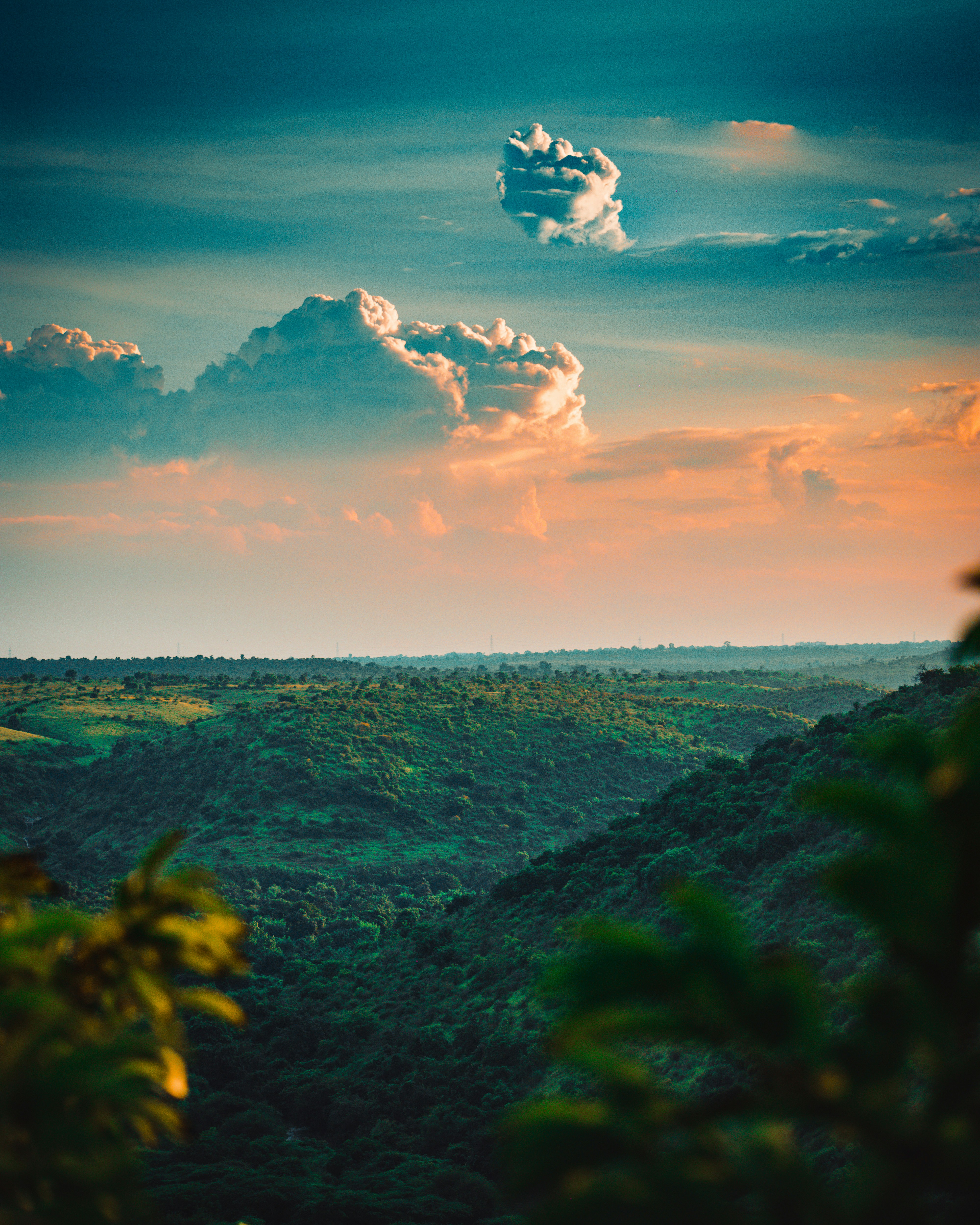 昼間の青空に広がる緑の草原