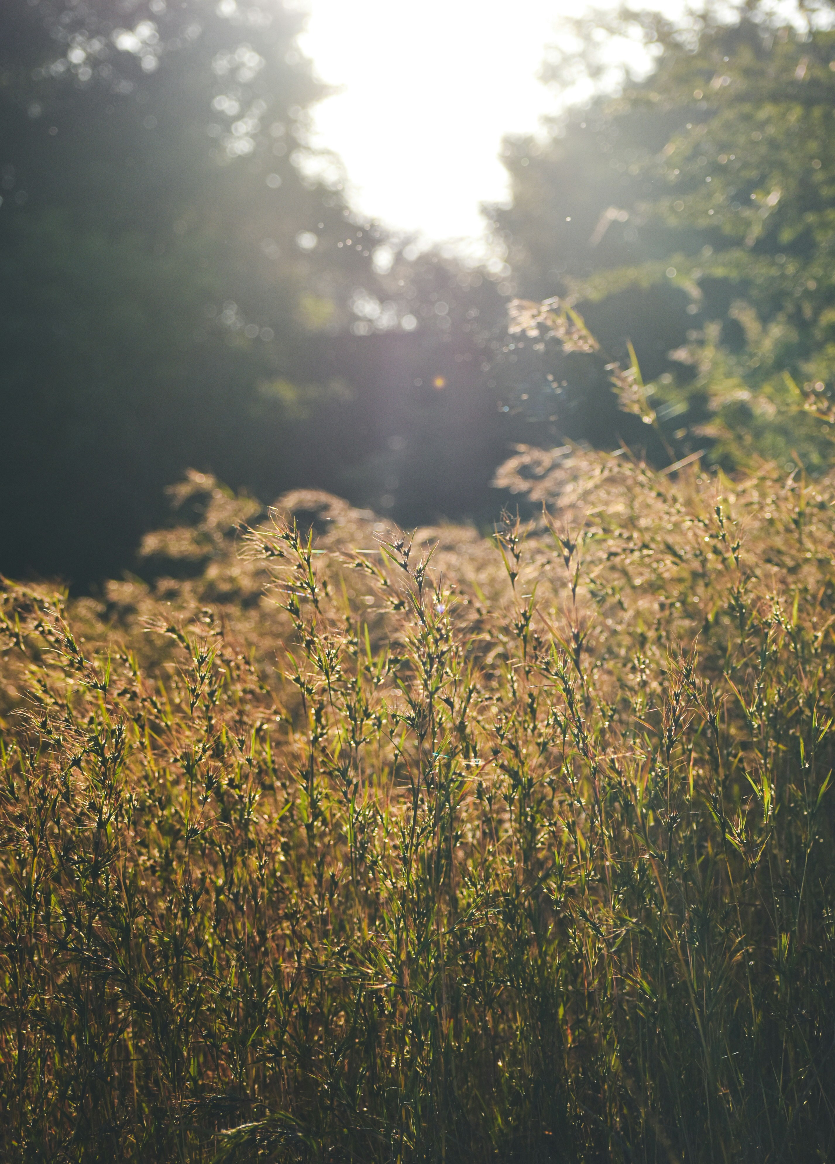 Photo by sagarkulkarni