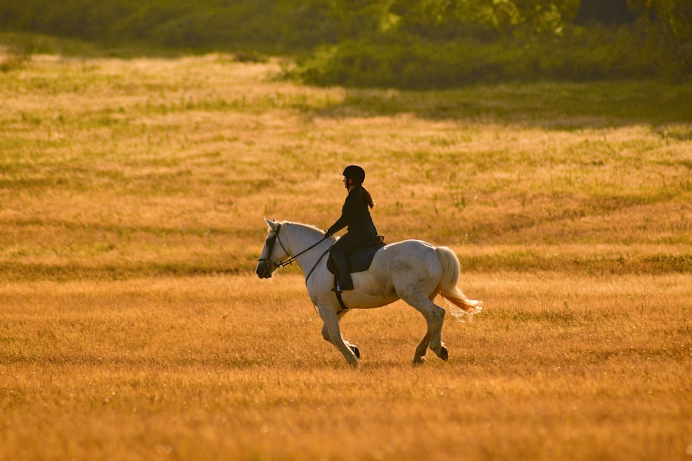 man in black jacket riding white horse on brown field during daytime