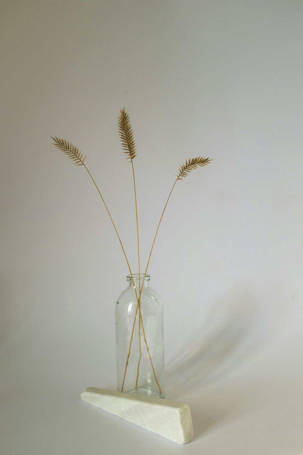 brown wheat in clear glass bottle