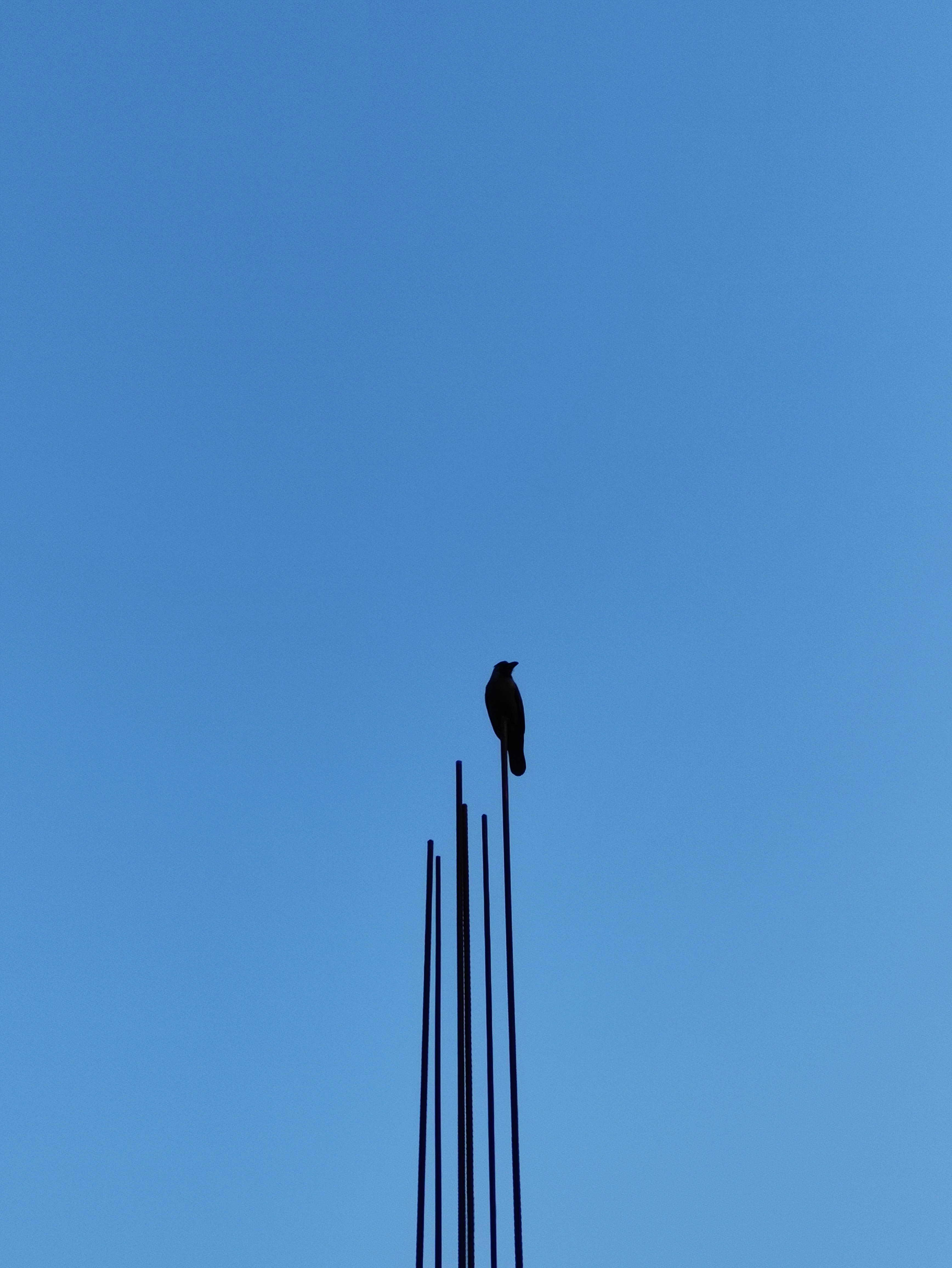 Photo by kankankalita