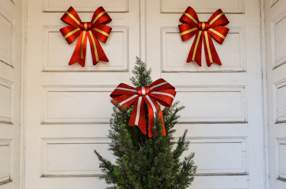 green and red christmas tree