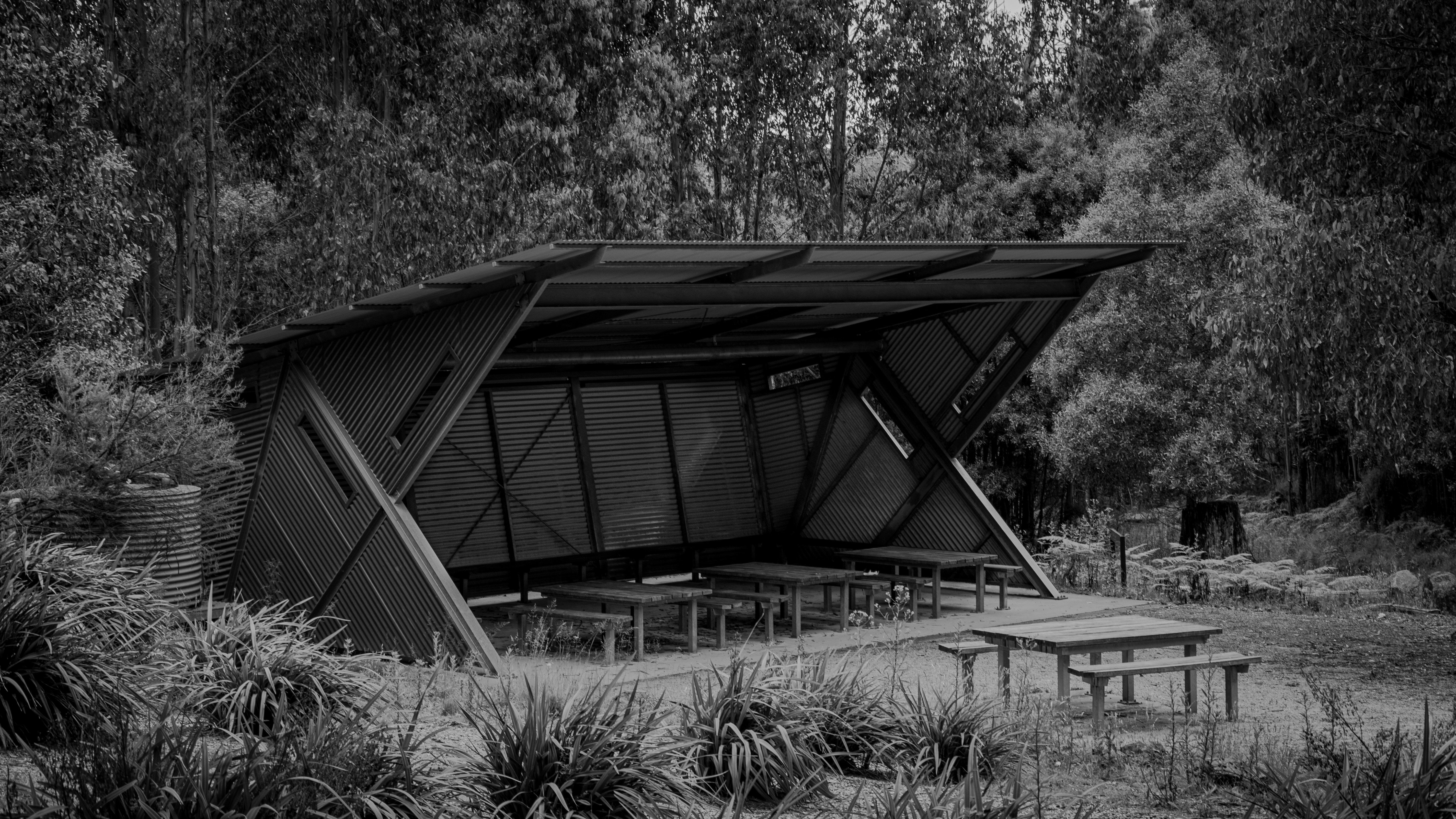 useful skills to learn 2021