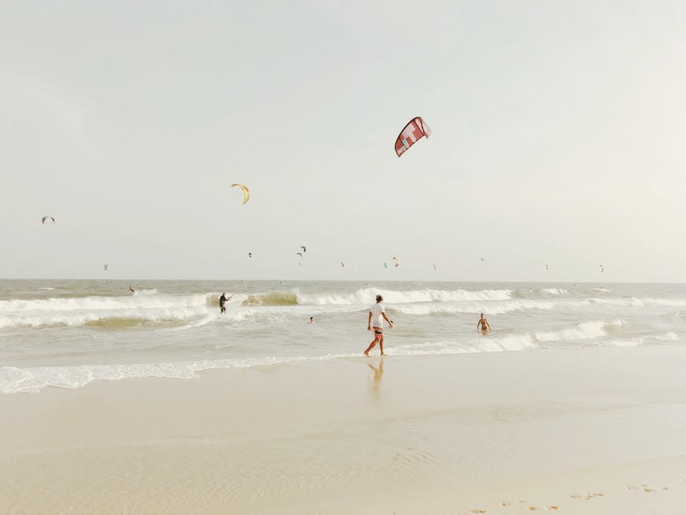 people on beach during daytime