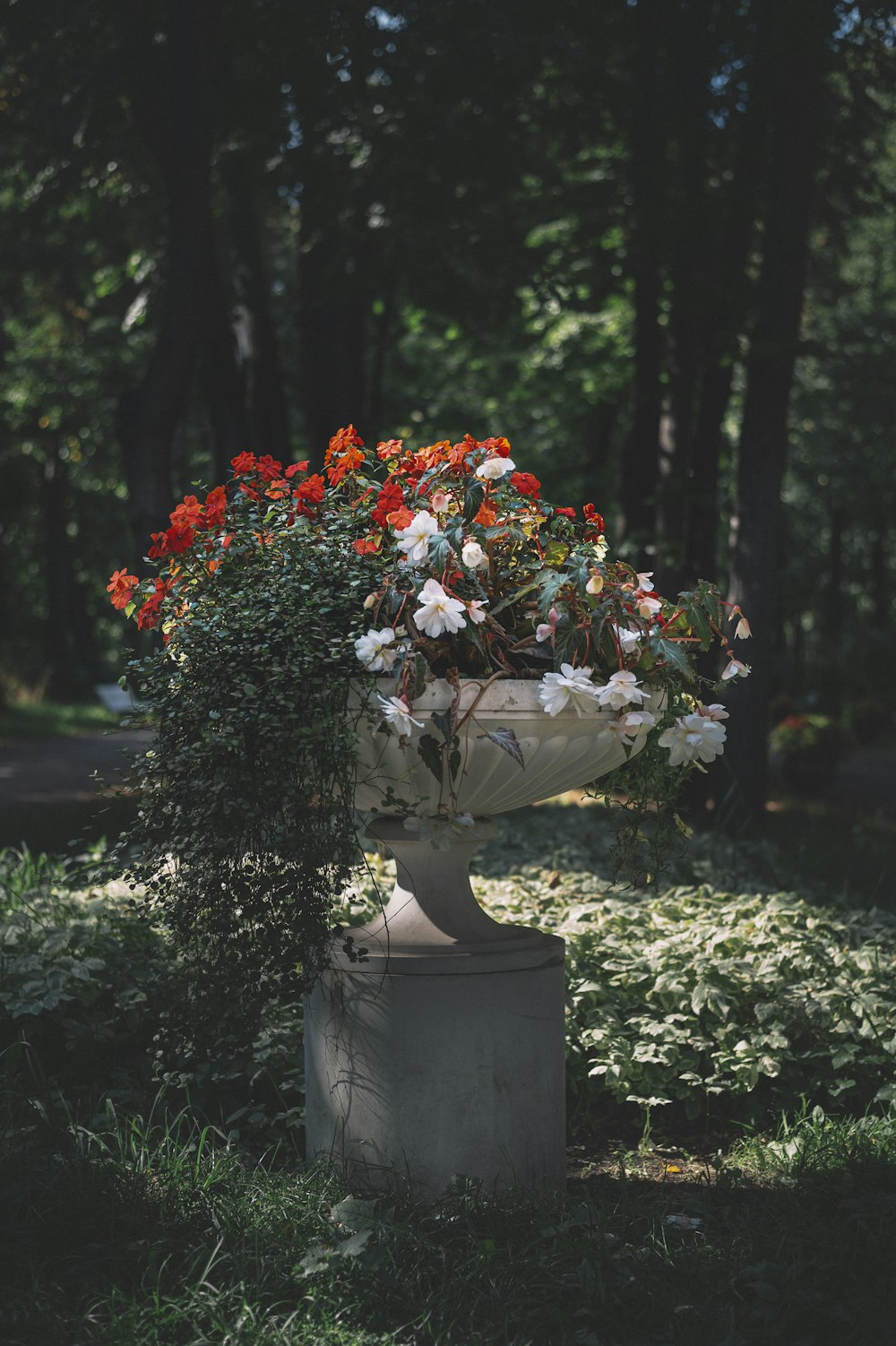 white and red flowers on gray concrete pot