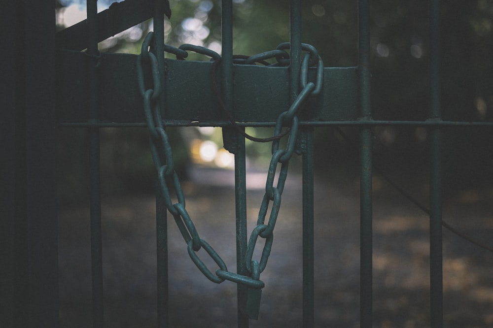 green metal chain link fence