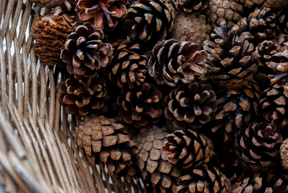 brown pine cone on brown woven basket