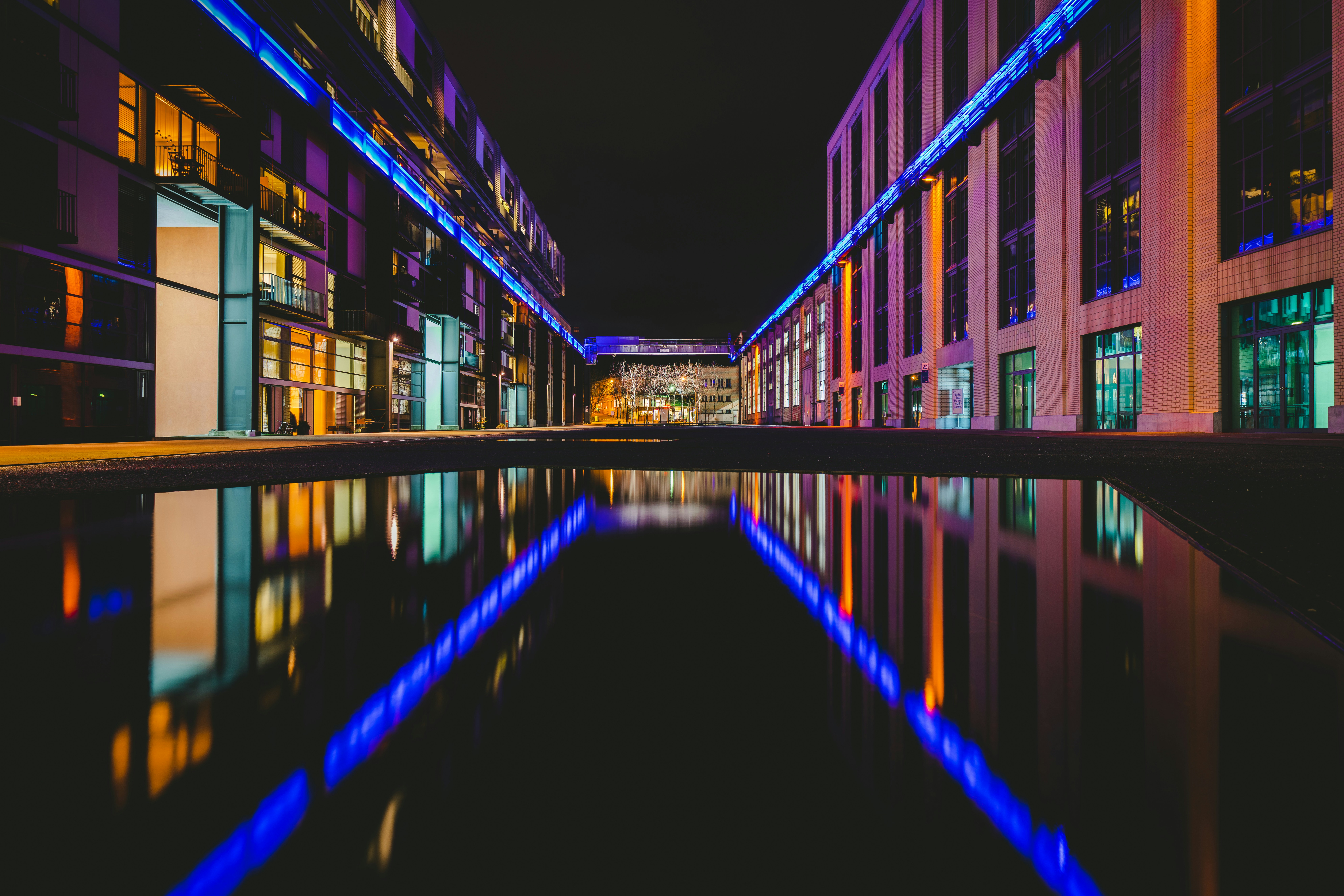 Photo by purzlbaum